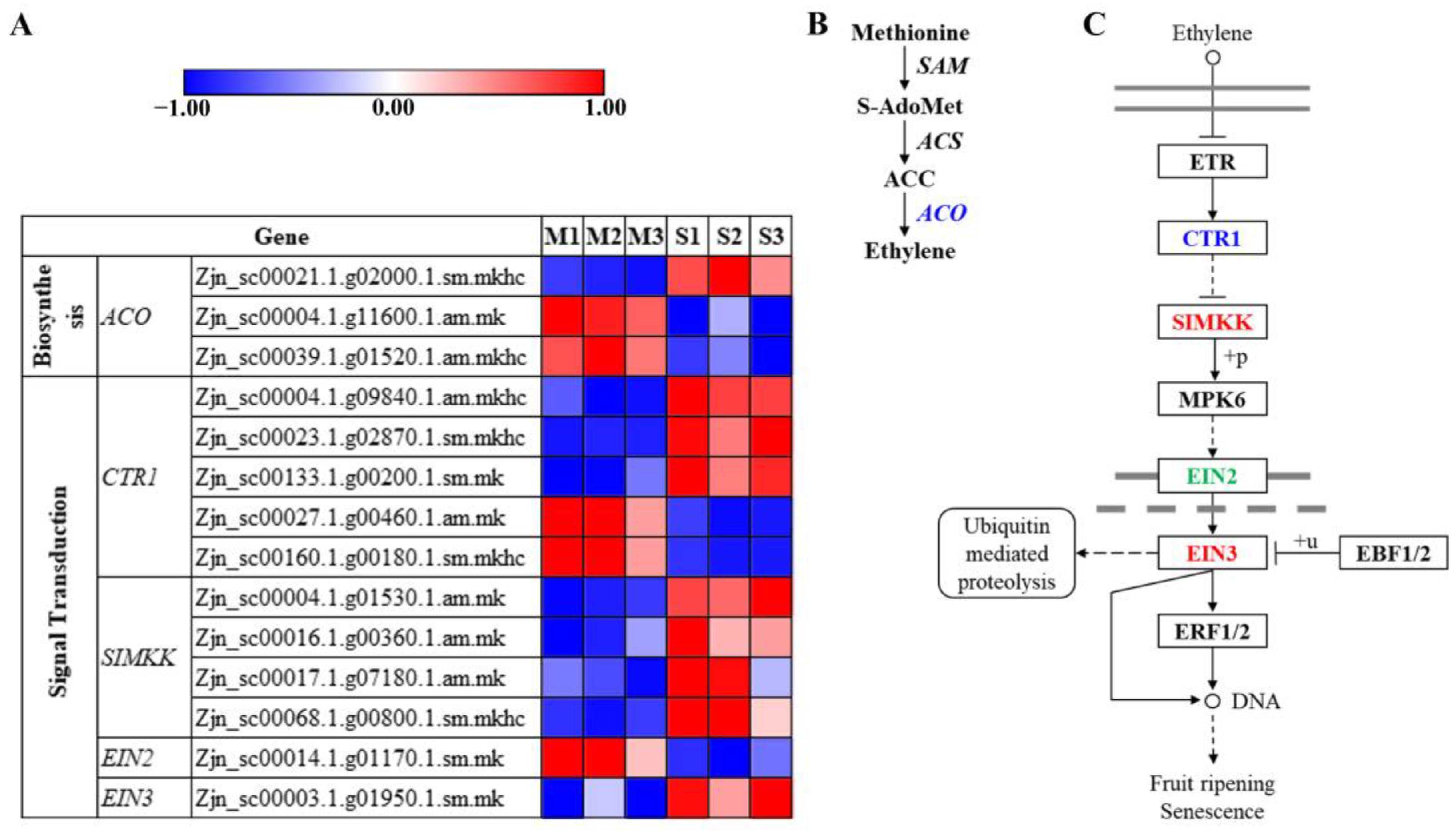 Agronomy 13 00623 g008 Agronomy 13 00623 g008