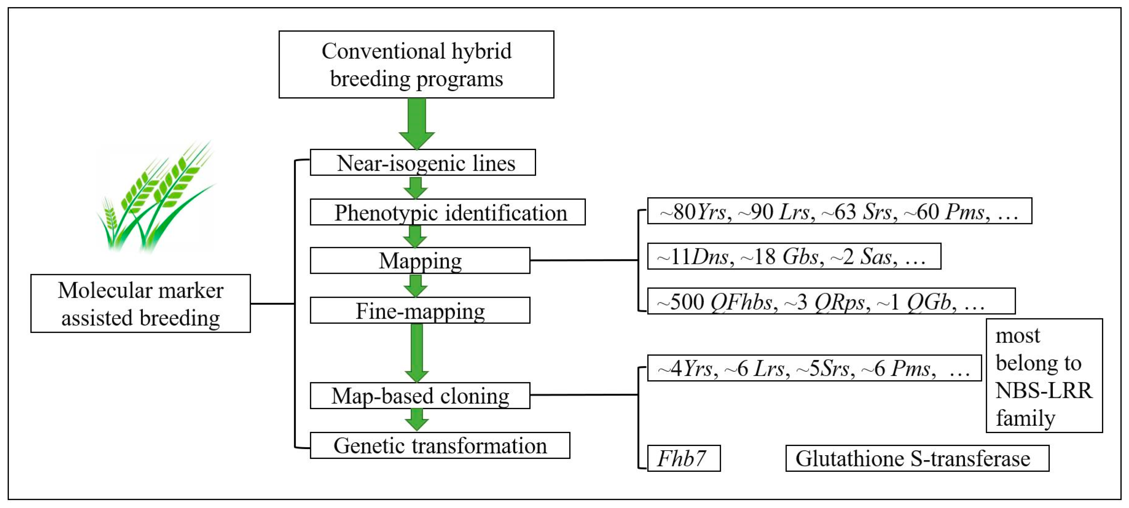 Agronomy 13 00628 g001