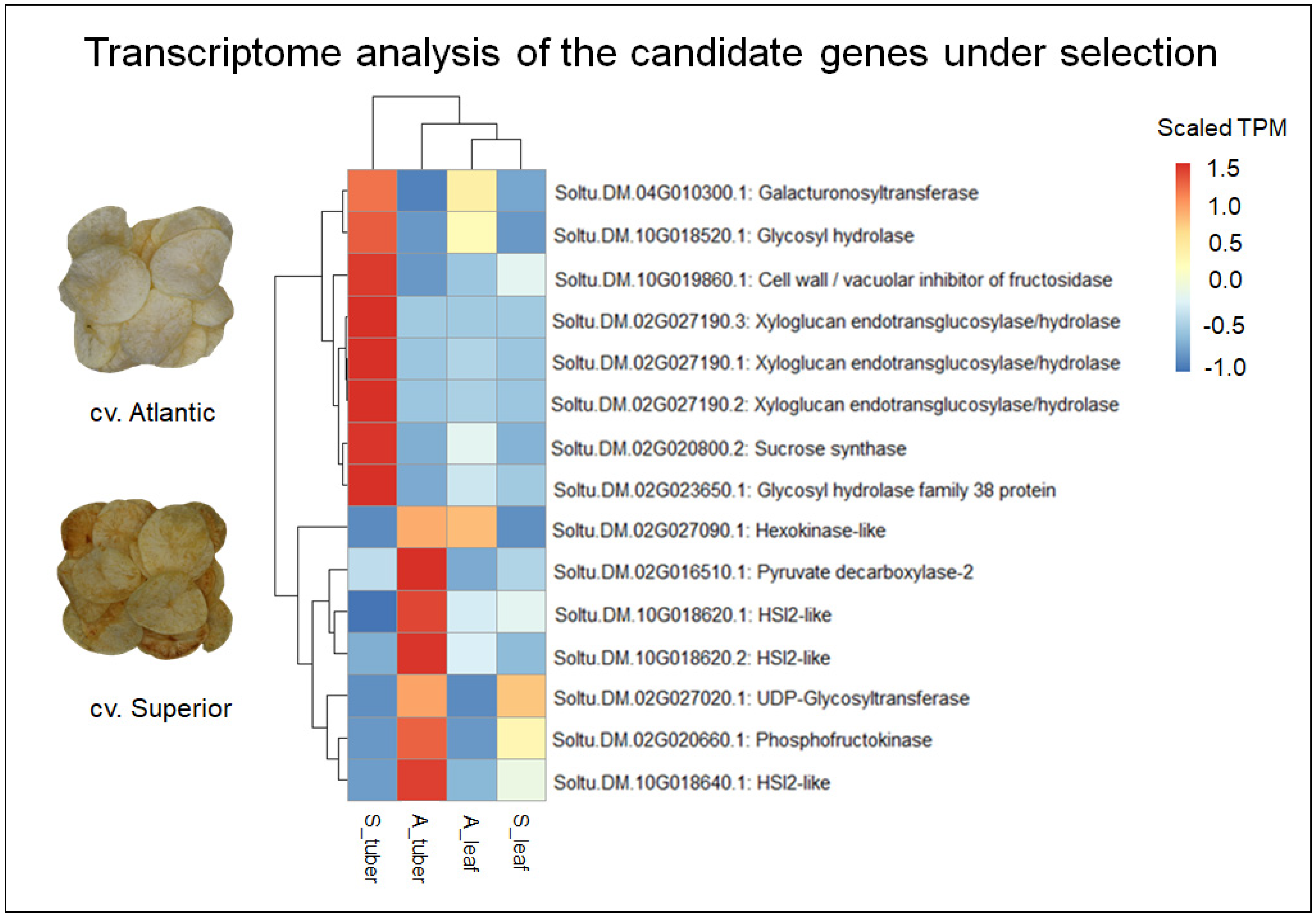 Agronomy 13 00642 g005