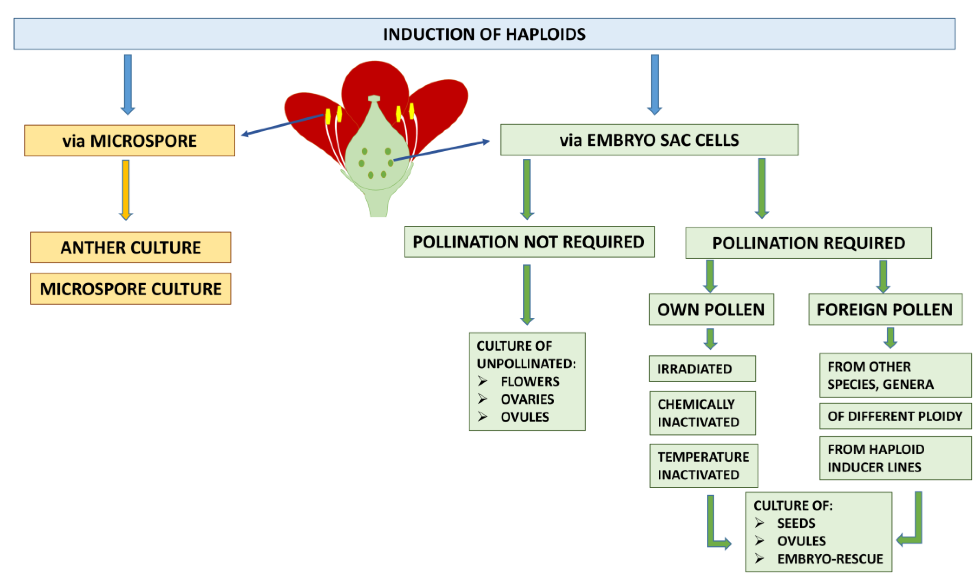 Agronomy 13 00676 g001 Agronomy 13 00676 g001