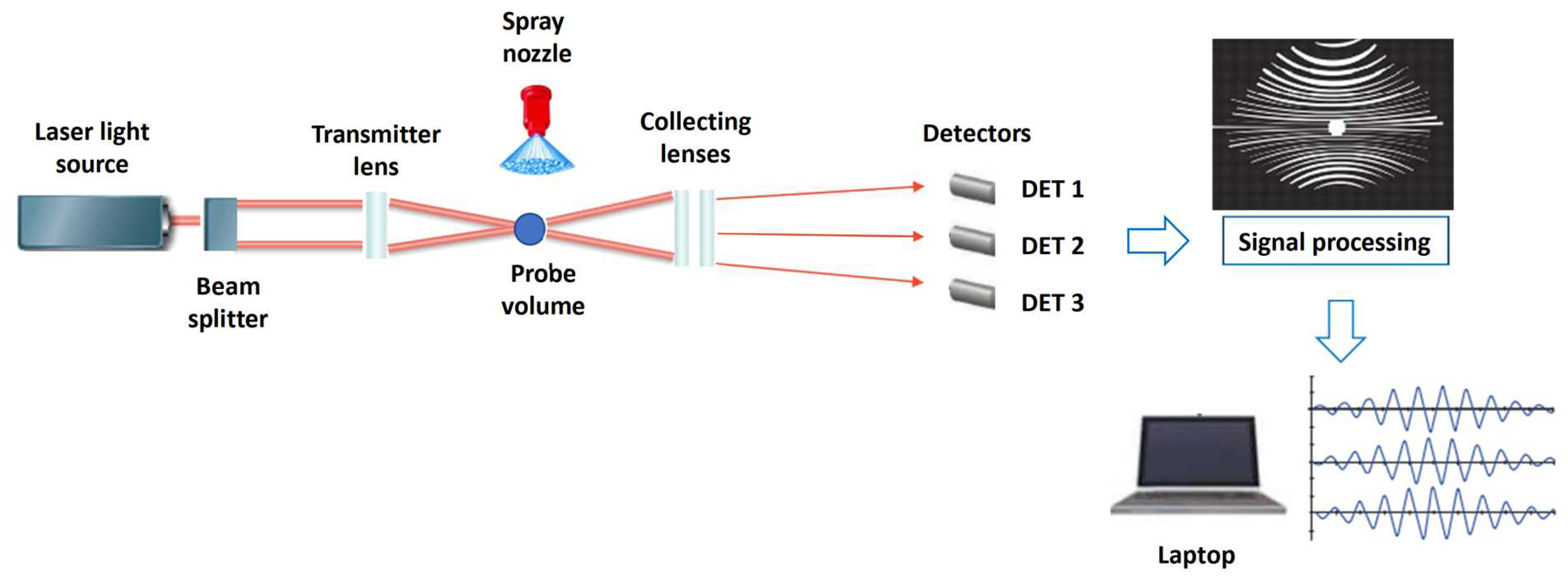 Agronomy 13 00678 g003 Agronomy 13 00678 g003