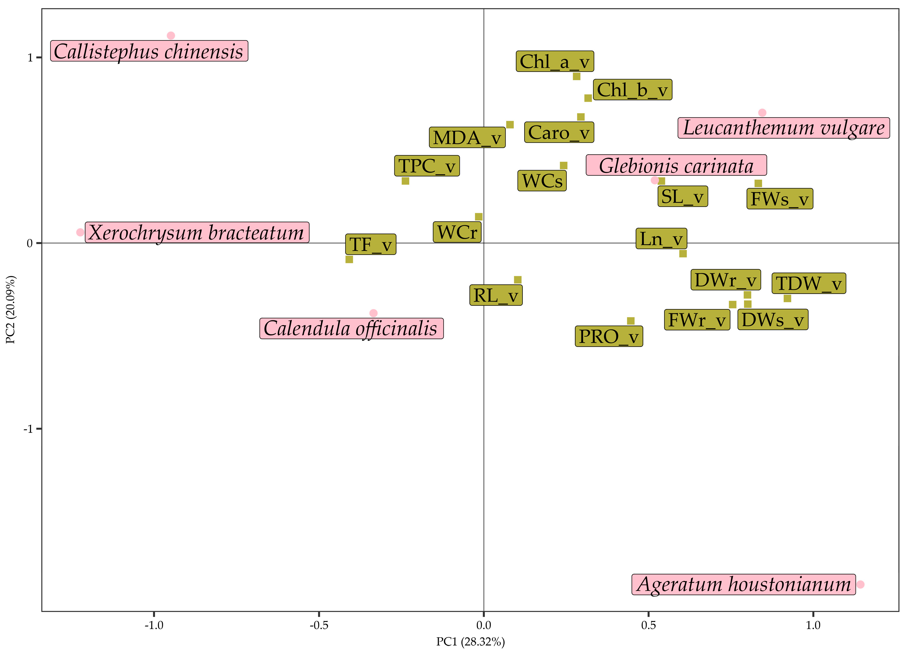 Agronomy 13 00687 g008