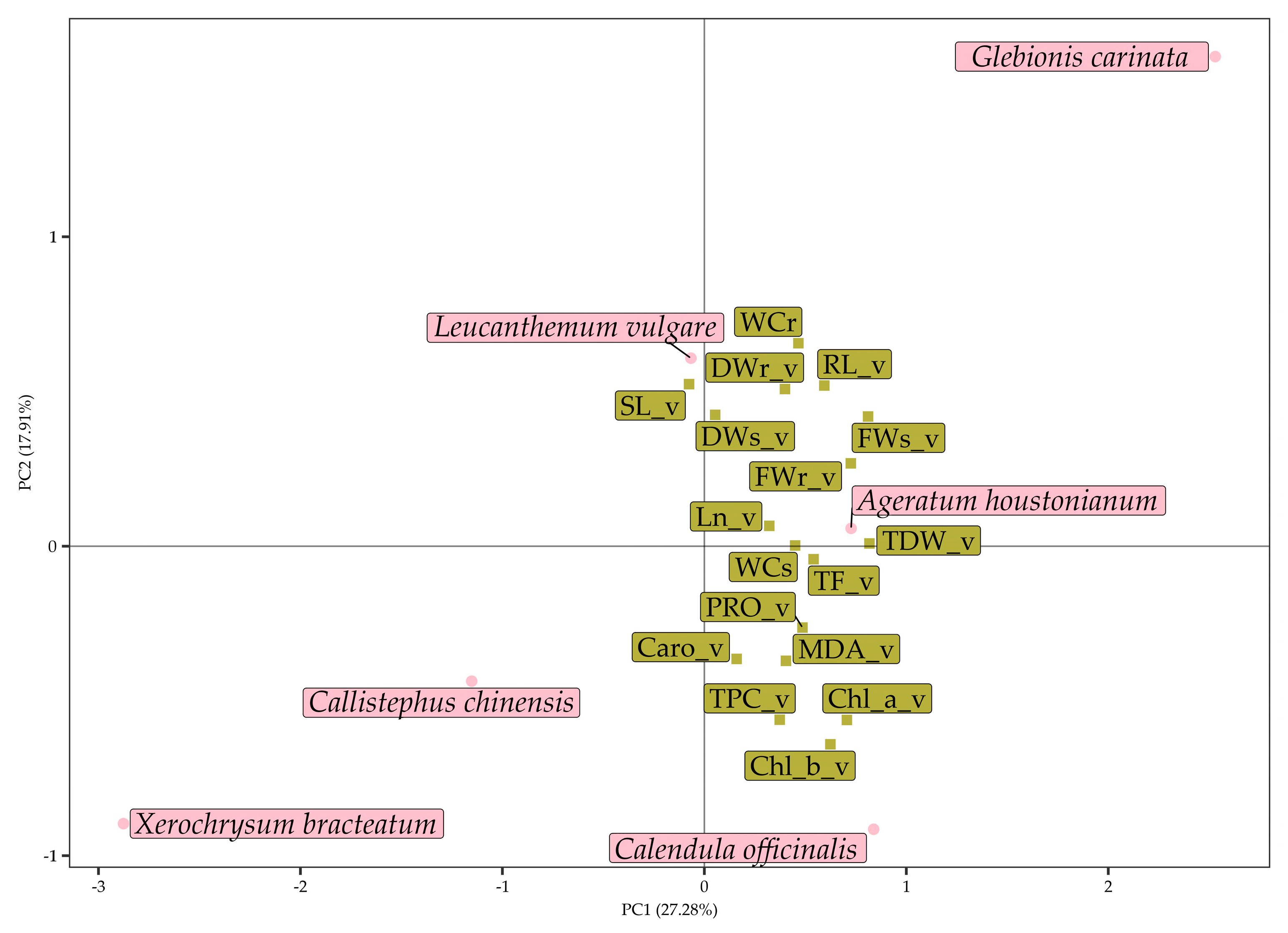 Agronomy 13 00687 g010