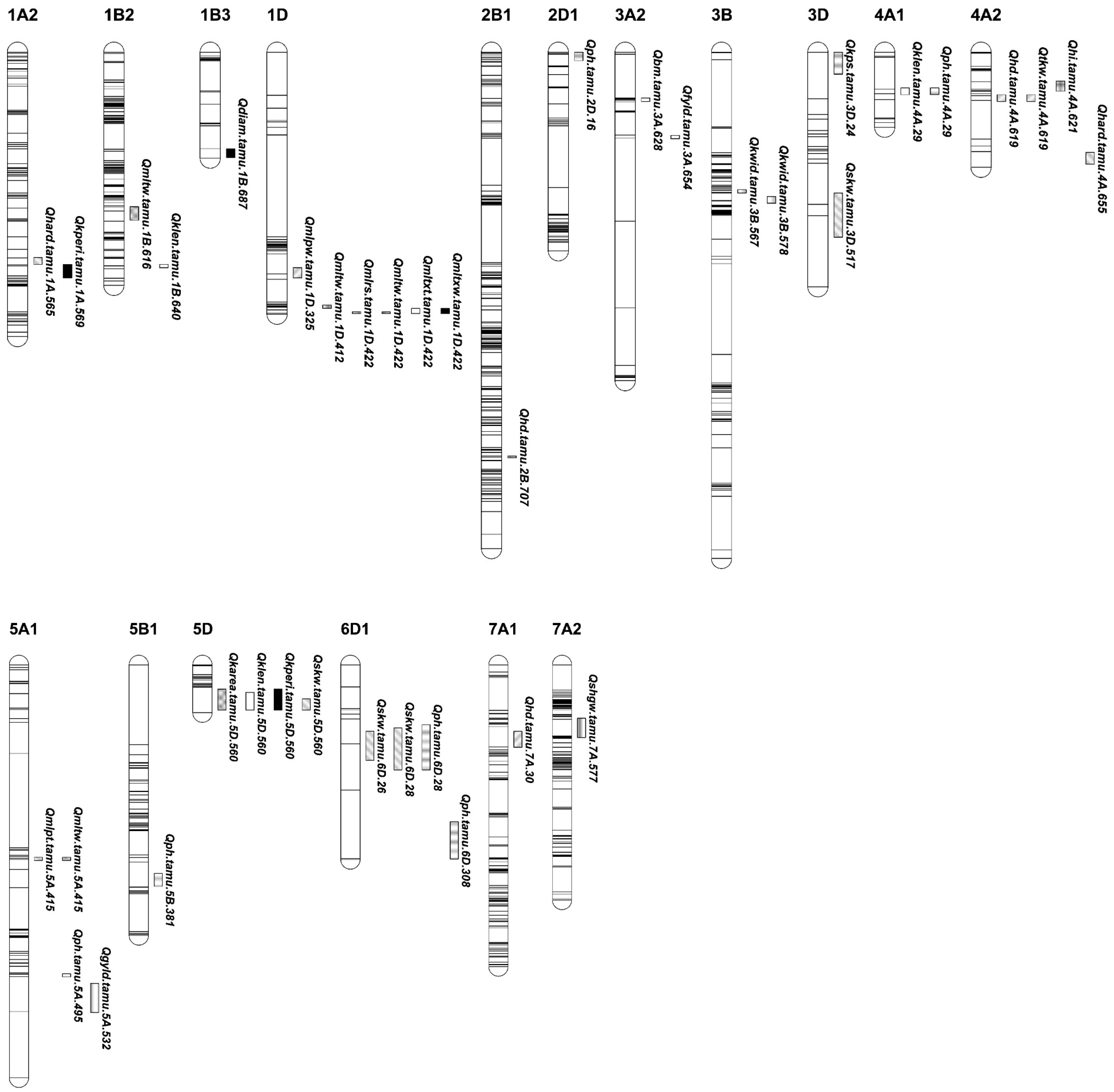 Agronomy 13 00689 g001 Agronomy 13 00689 g001