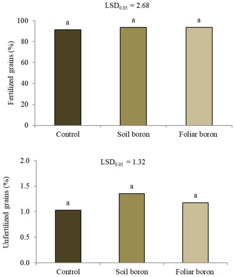 Agronomy | Free Full-Text | Efficacy Of Soil And Foliar Boron ...