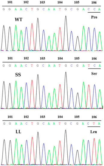 Agronomy | Free Full-Text | Gene Amplification Of EPSPS With A Mutation ...