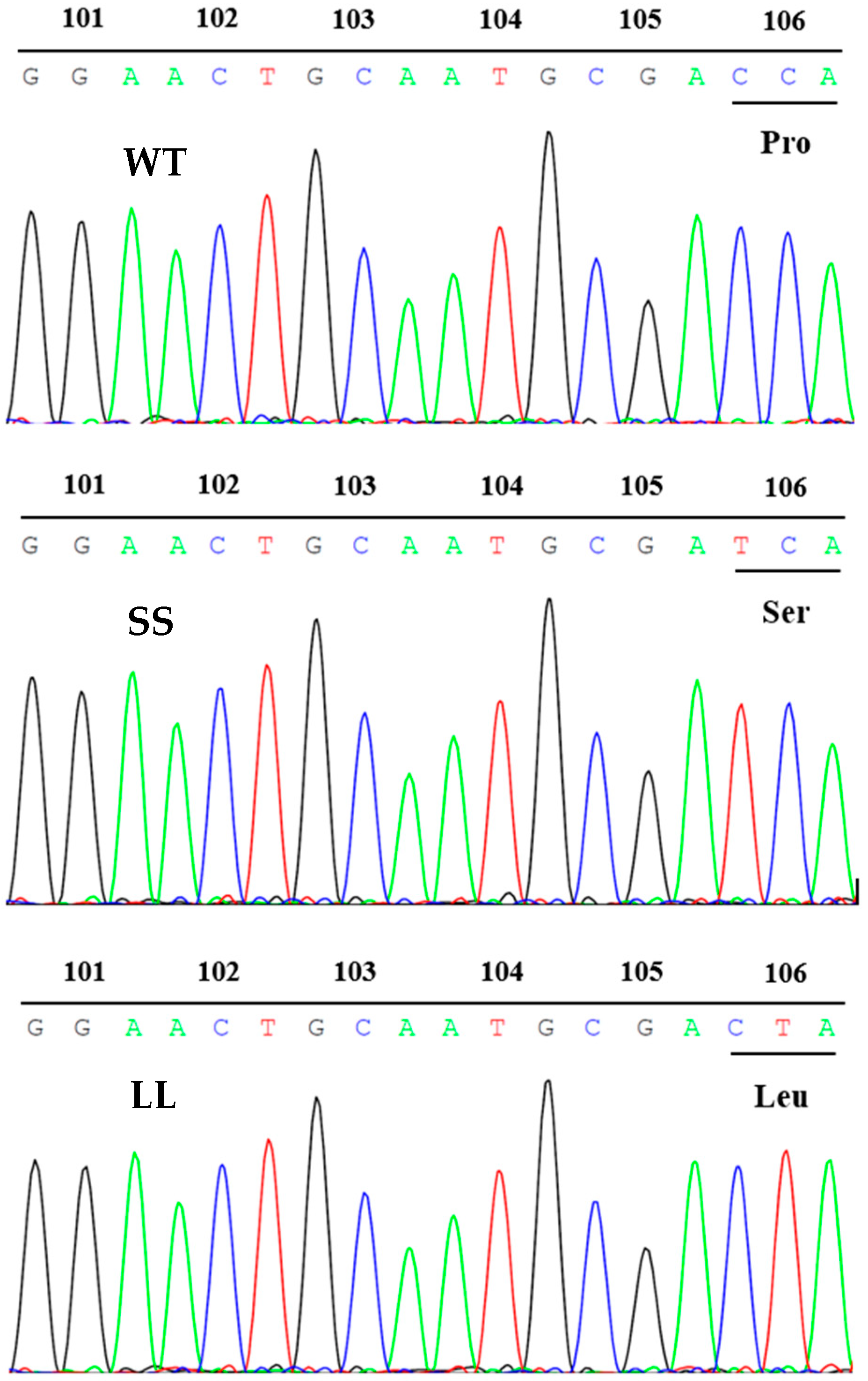 Agronomy 13 00699 g002 Agronomy 13 00699 g002