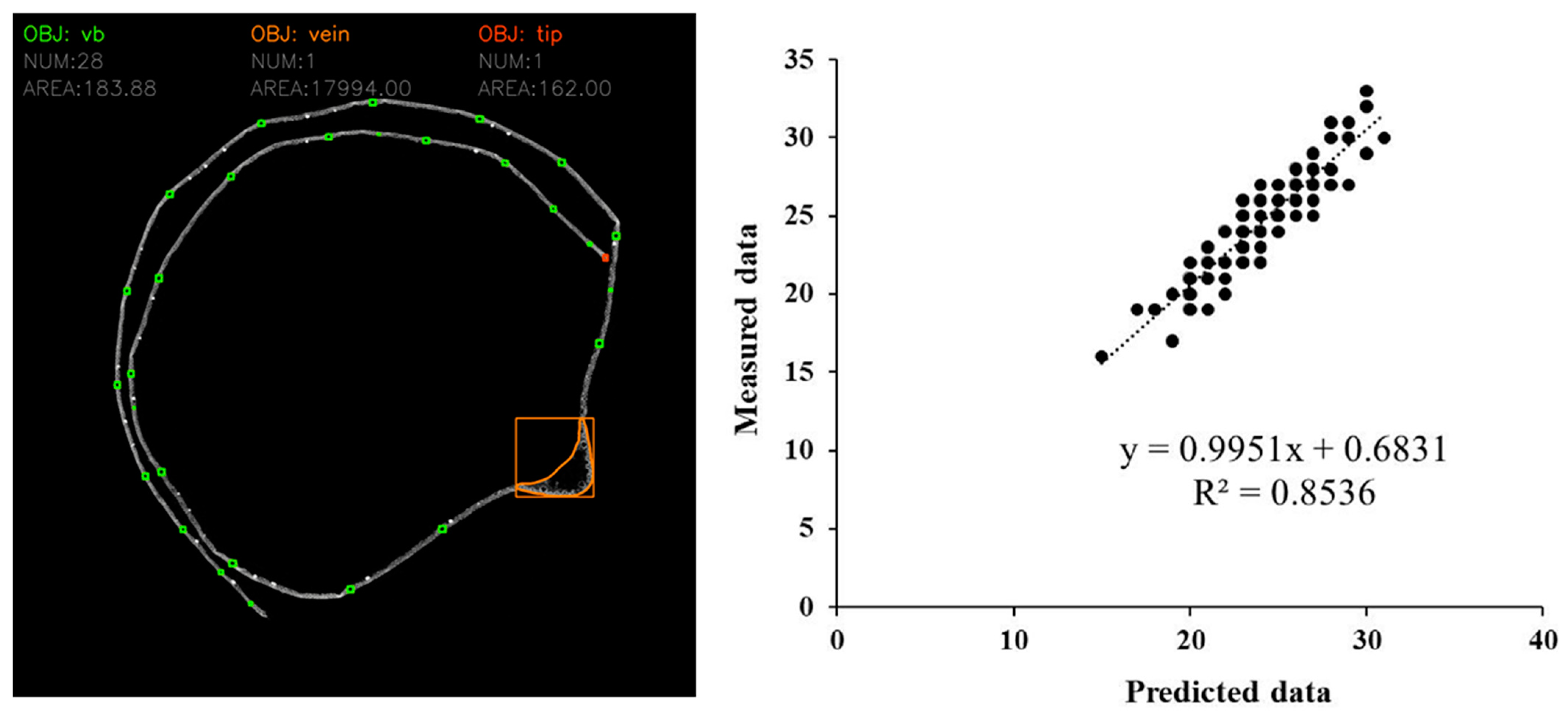 Agronomy 13 00753 g002