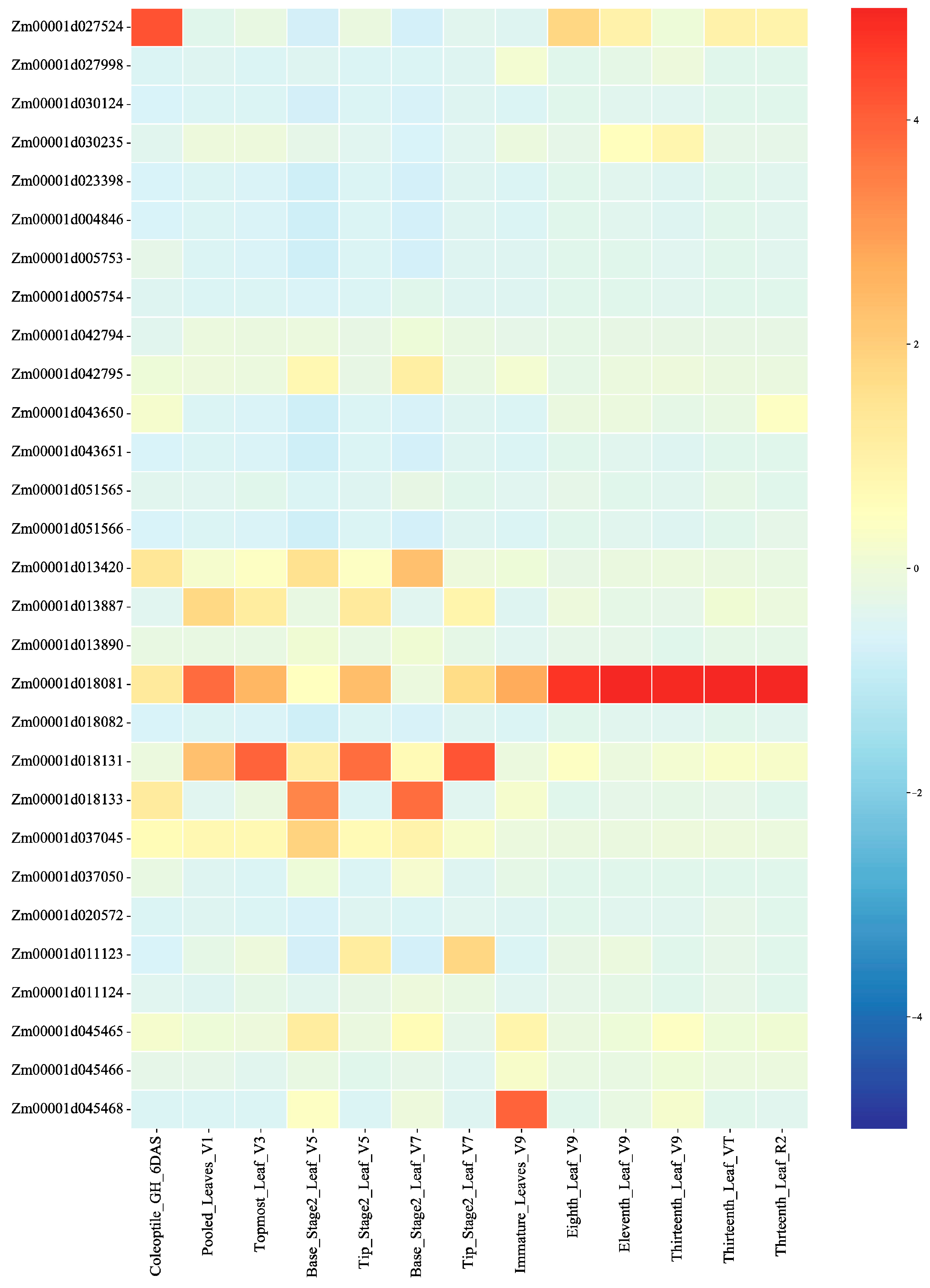 Agronomy 13 00753 g006