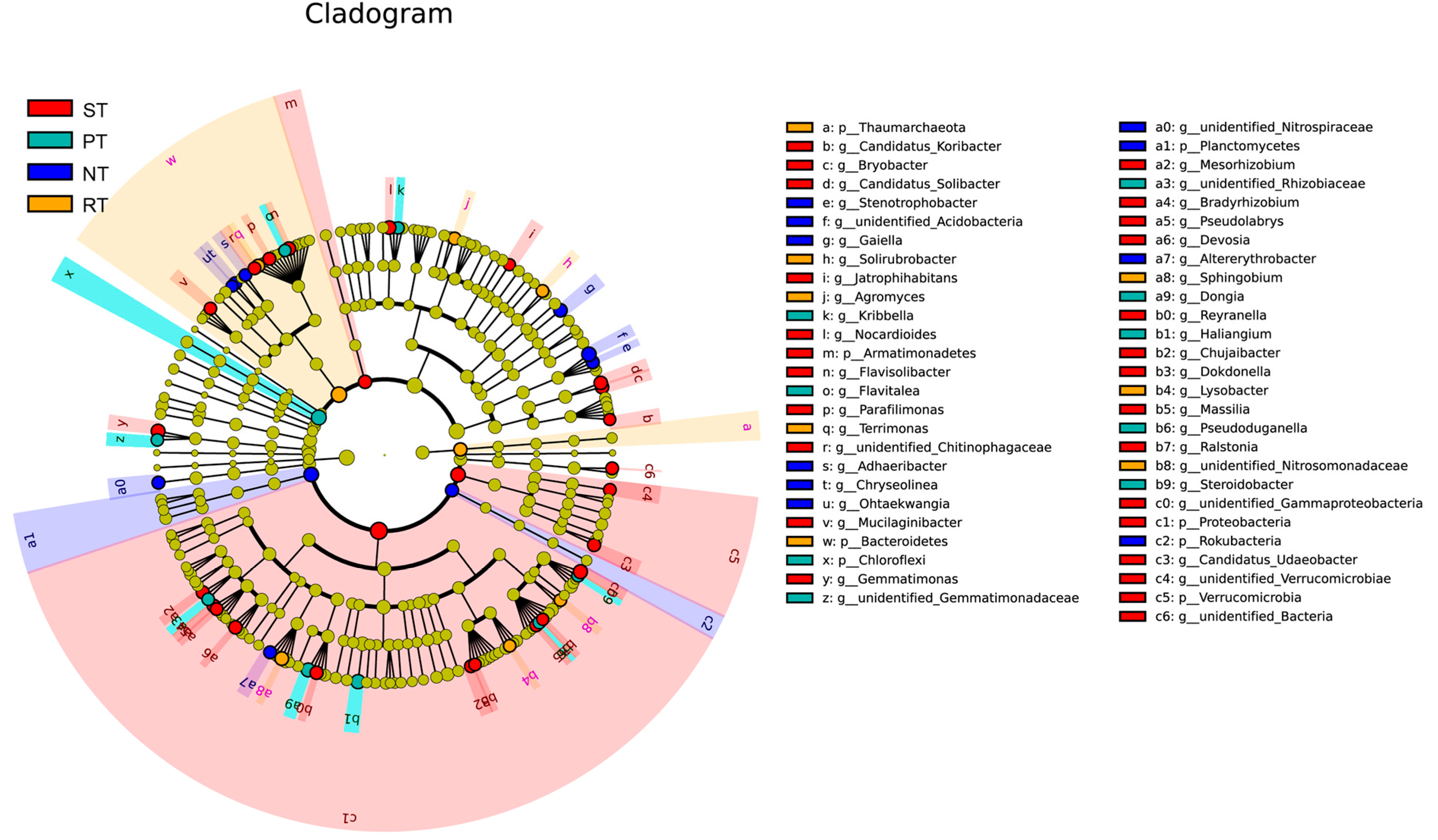 Agronomy 13 00790 g005
