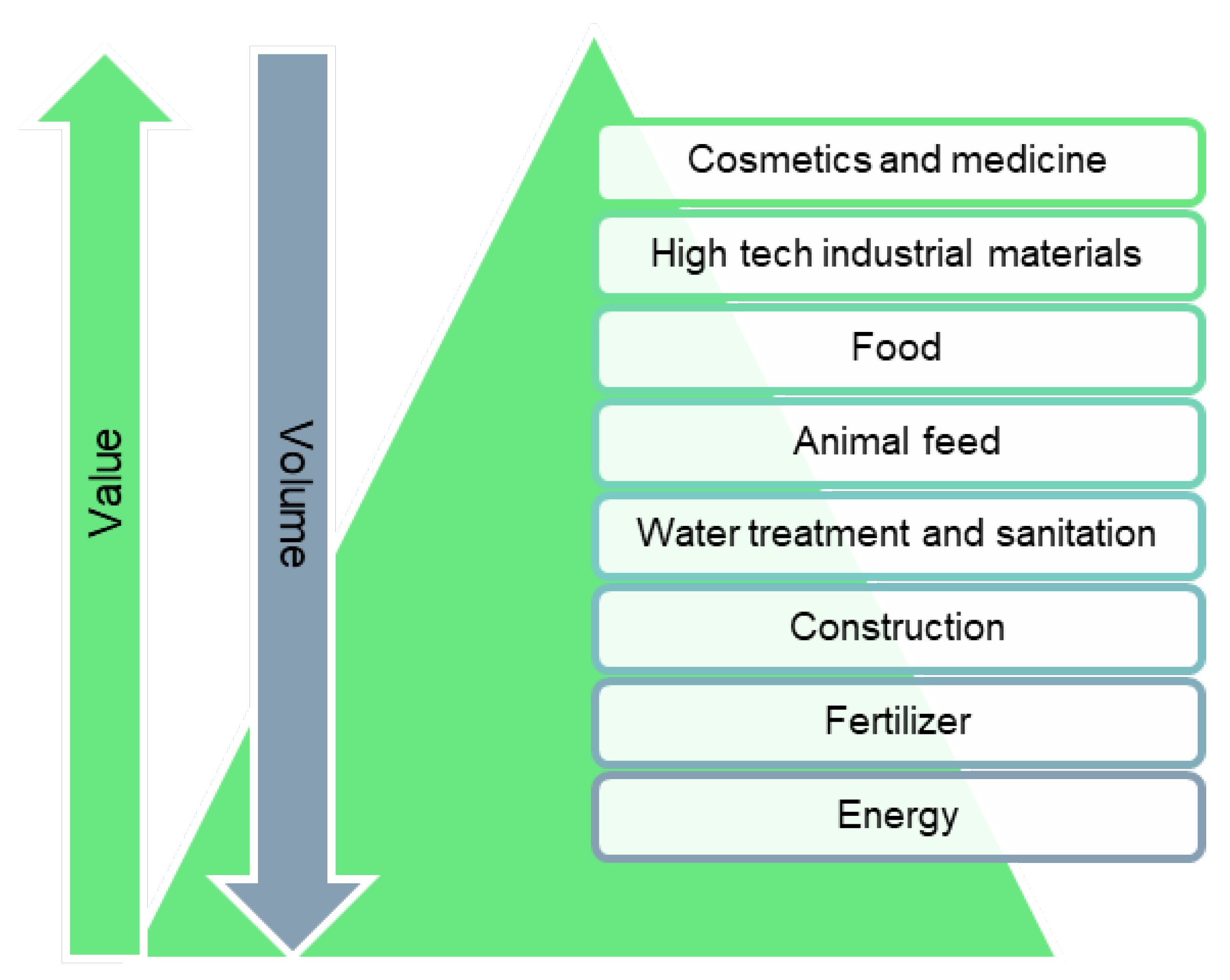 Agronomy 13 00803 g009