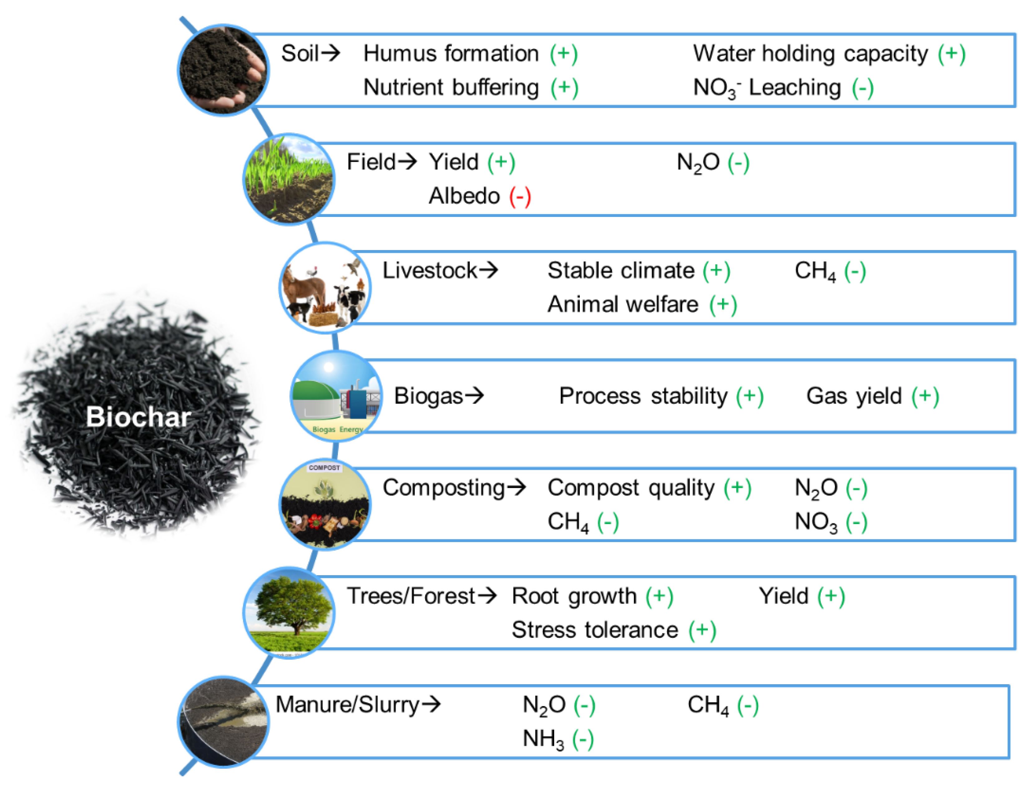 Agronomy 13 00803 g010