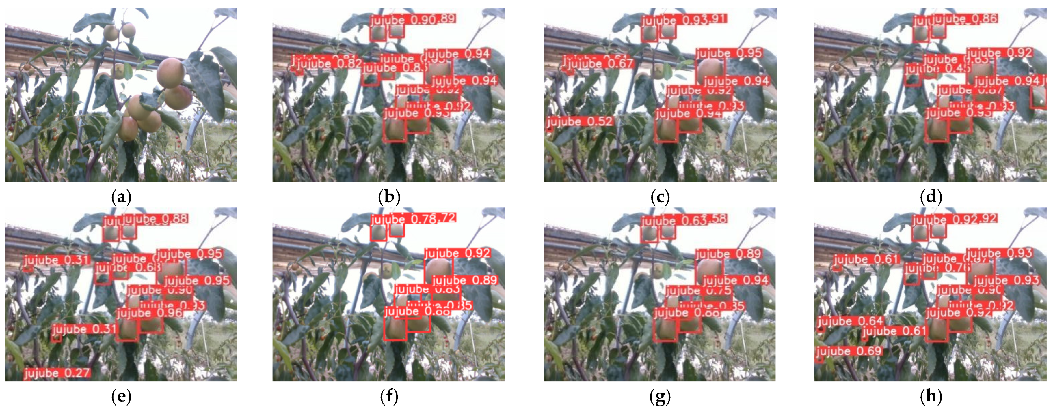 Agronomy 13 00810 g011 Agronomy 13 00810 g011