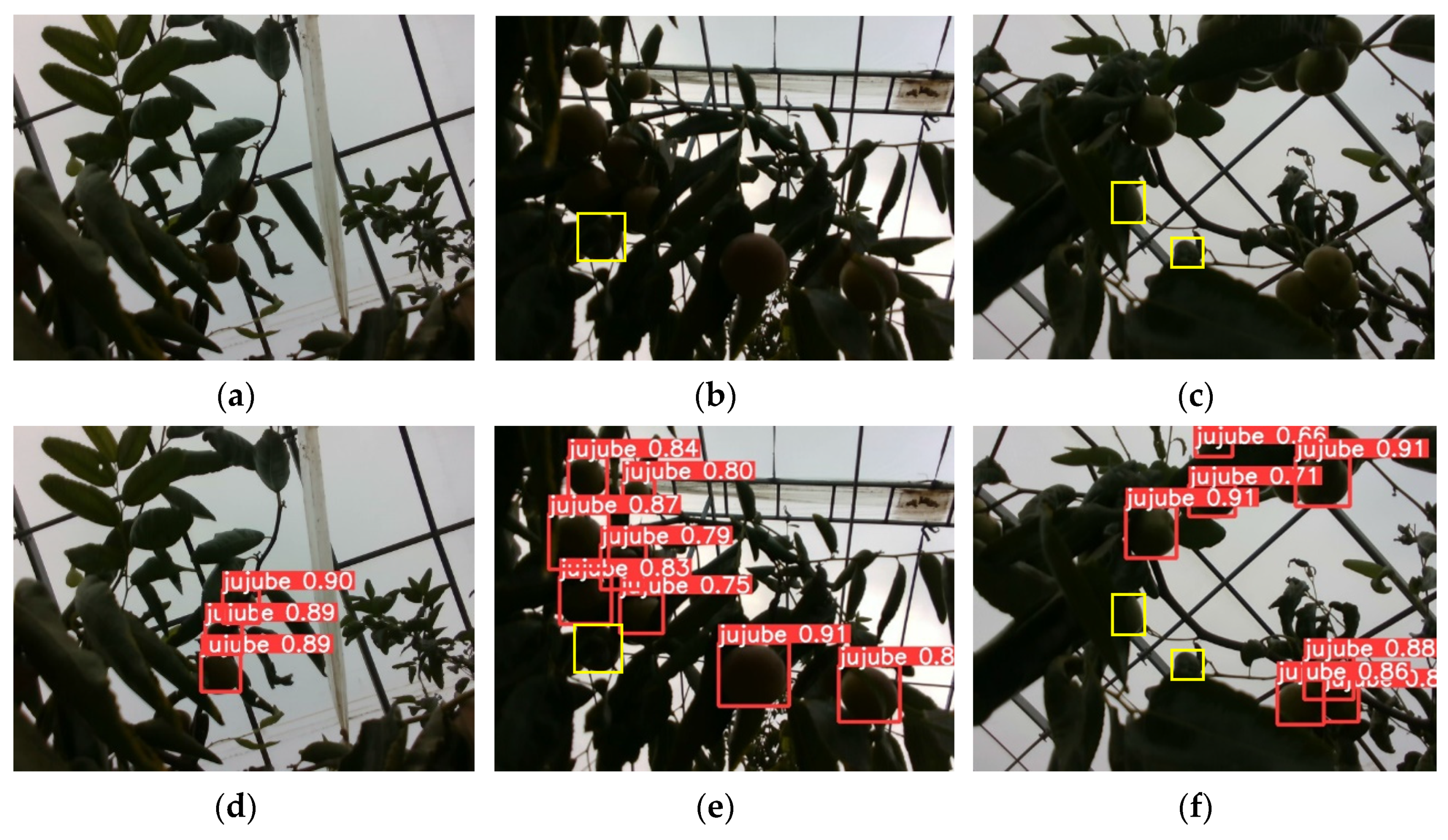 Agronomy 13 00810 g014 Agronomy 13 00810 g014