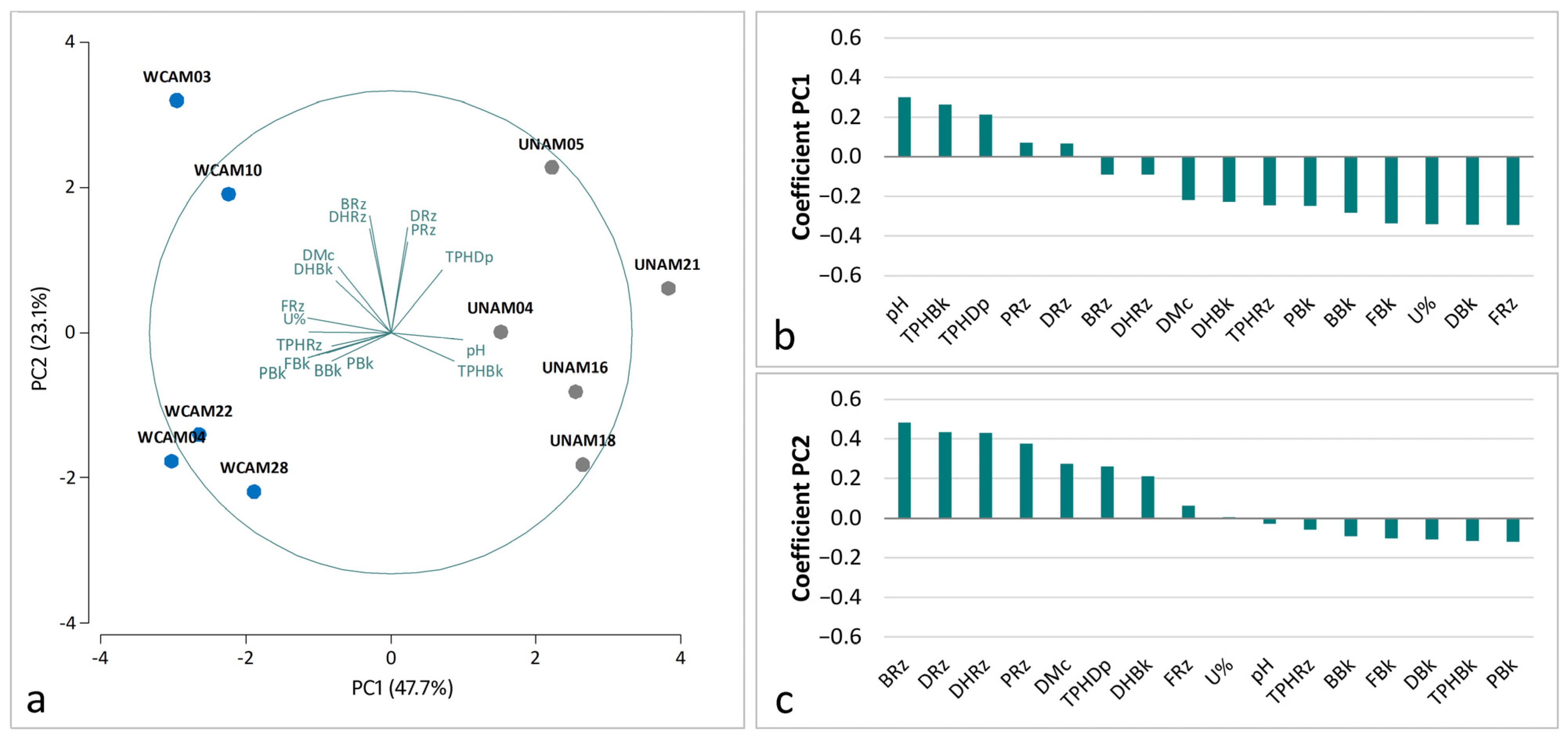 Agronomy 13 00812 g004 Agronomy 13 00812 g004