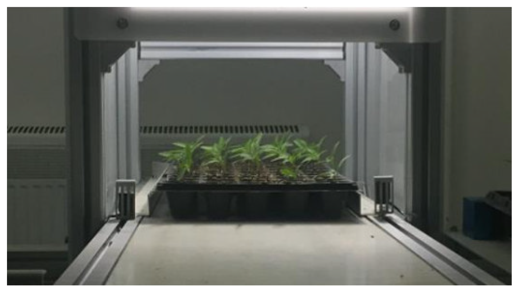 Agronomy 13 00853 g002