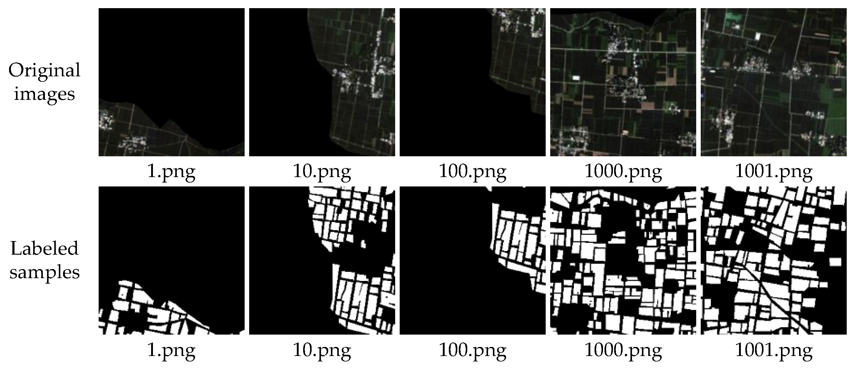 Agronomy 13 00863 g003 Agronomy 13 00863 g003