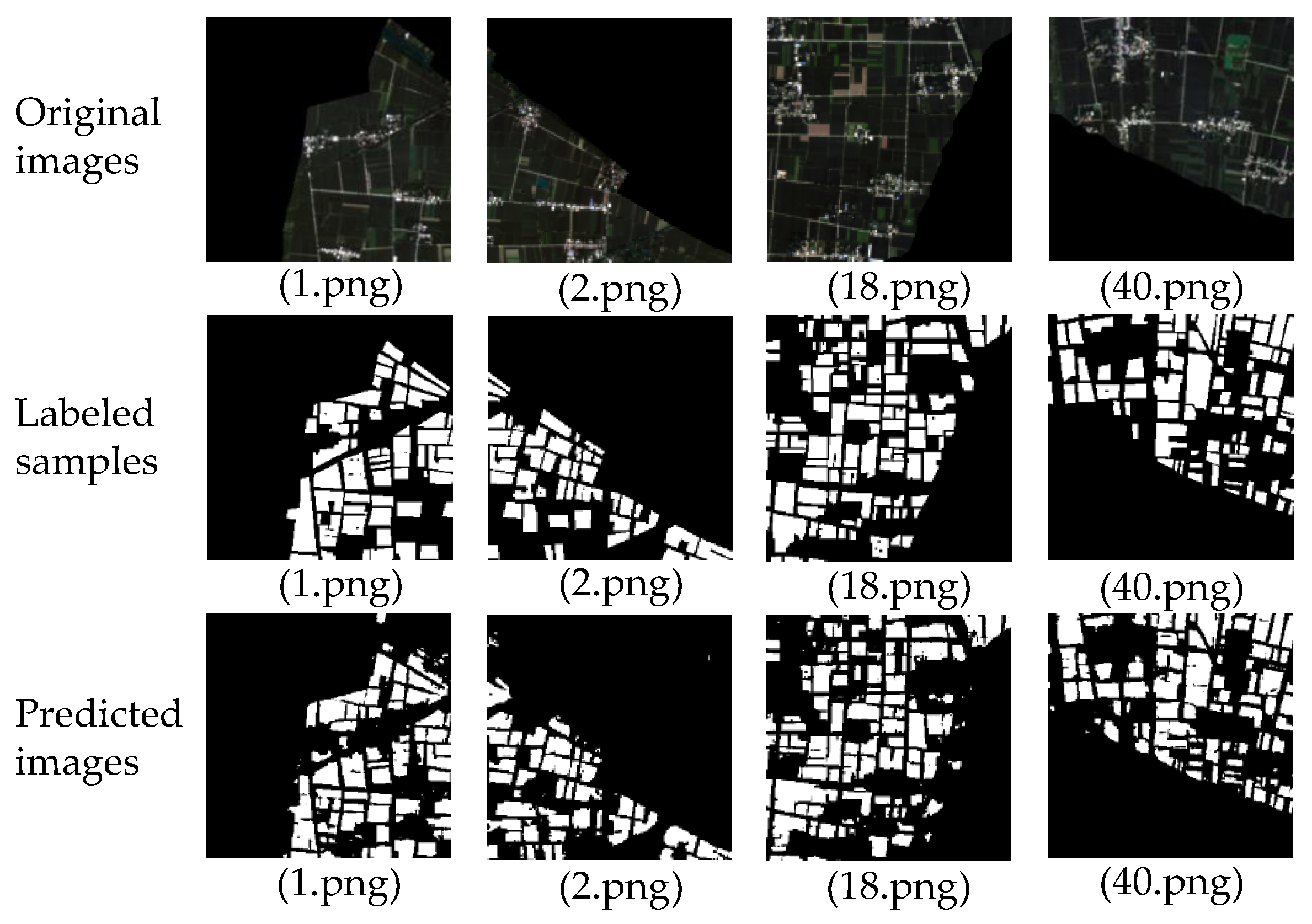 Agronomy 13 00863 g007 Agronomy 13 00863 g007