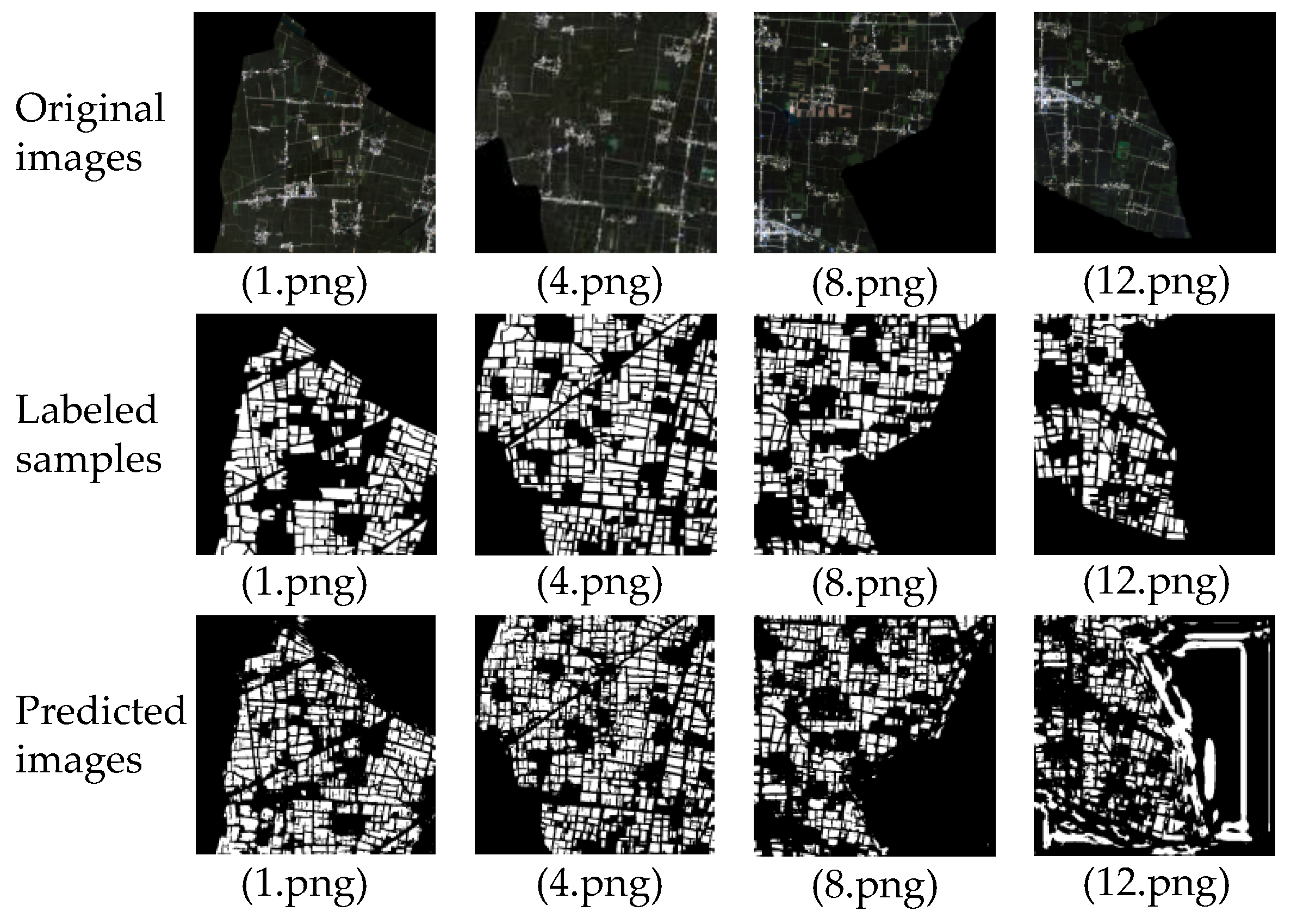 Agronomy 13 00863 g008 Agronomy 13 00863 g008