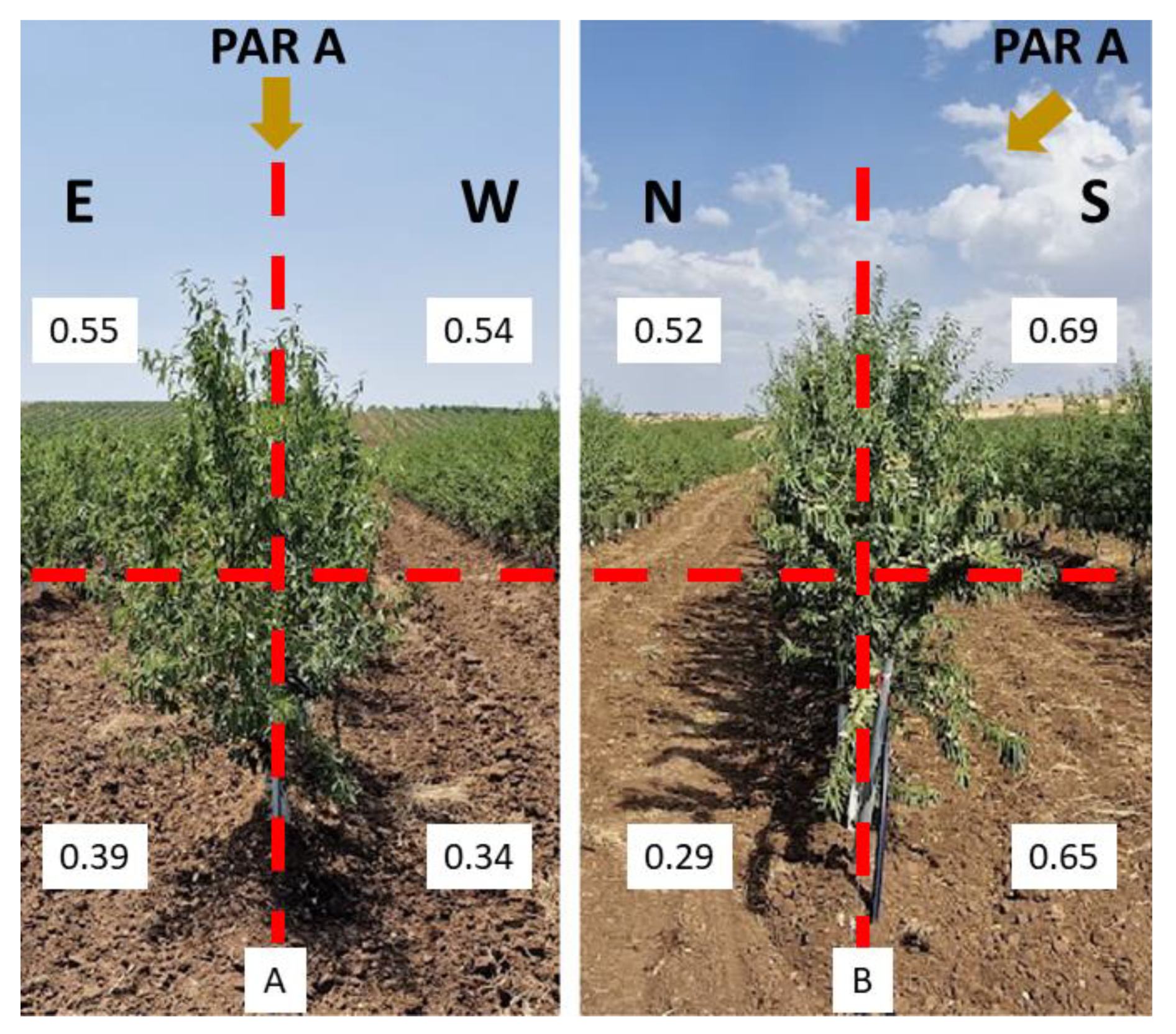 Agronomy 13 00874 g006 Agronomy 13 00874 g006