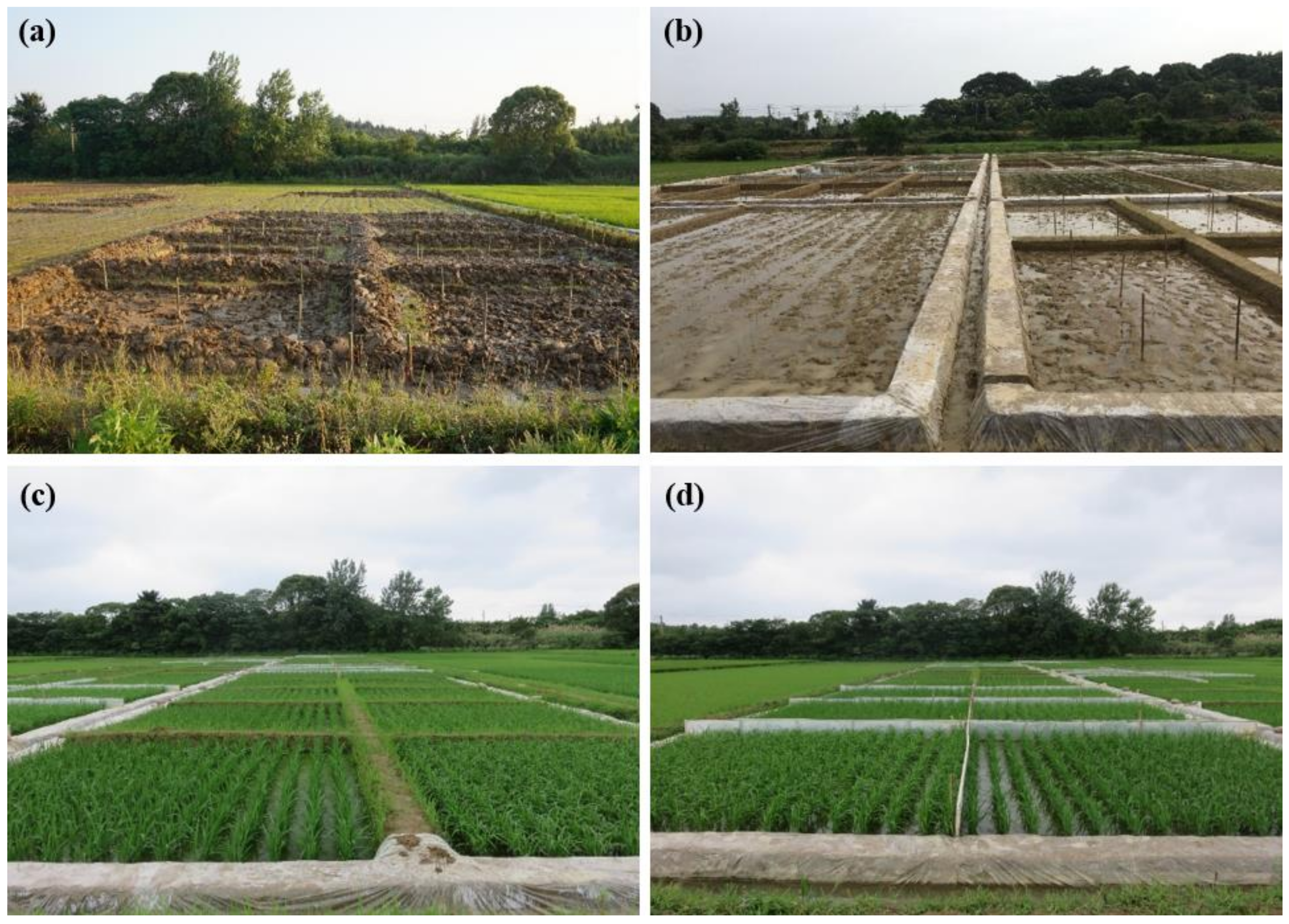 Agronomy 13 00907 g001