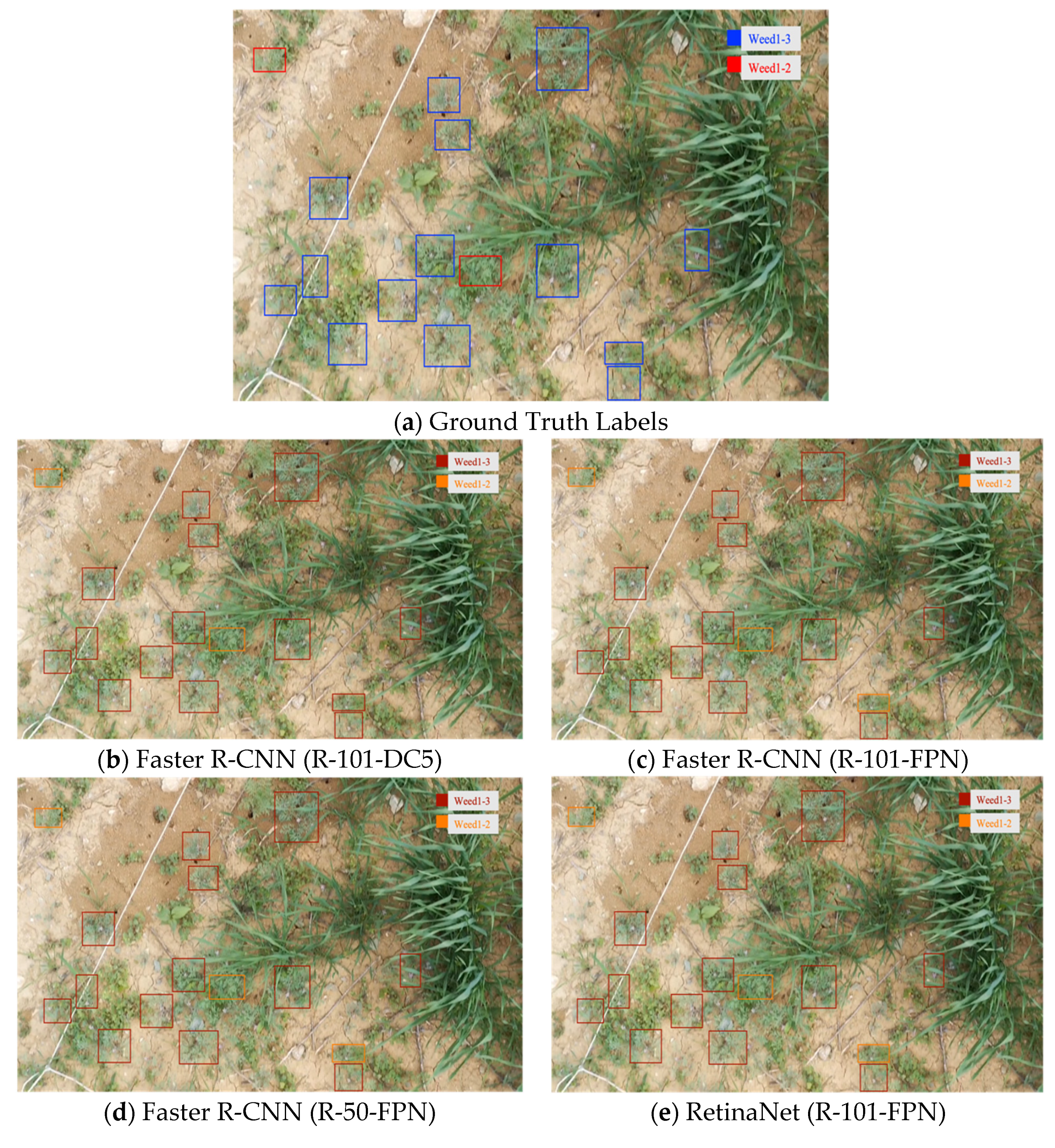 Agronomy 13 00934 g009a Agronomy 13 00934 g009a