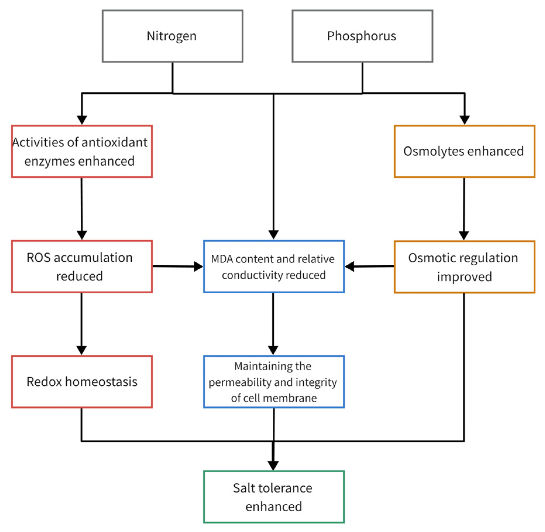 Agronomy 13 01020 g006 Agronomy 13 01020 g006