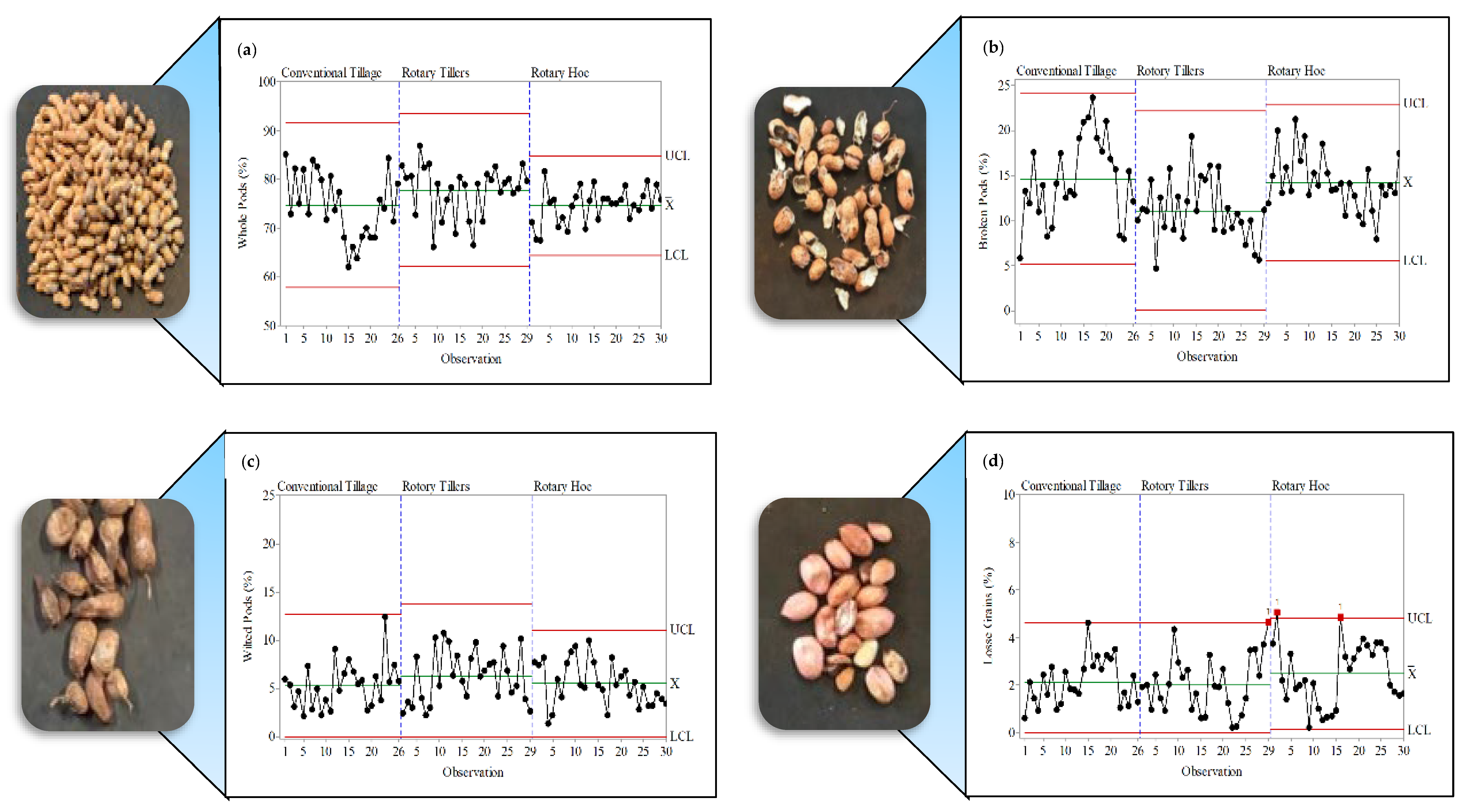 Agronomy 13 01024 g003a