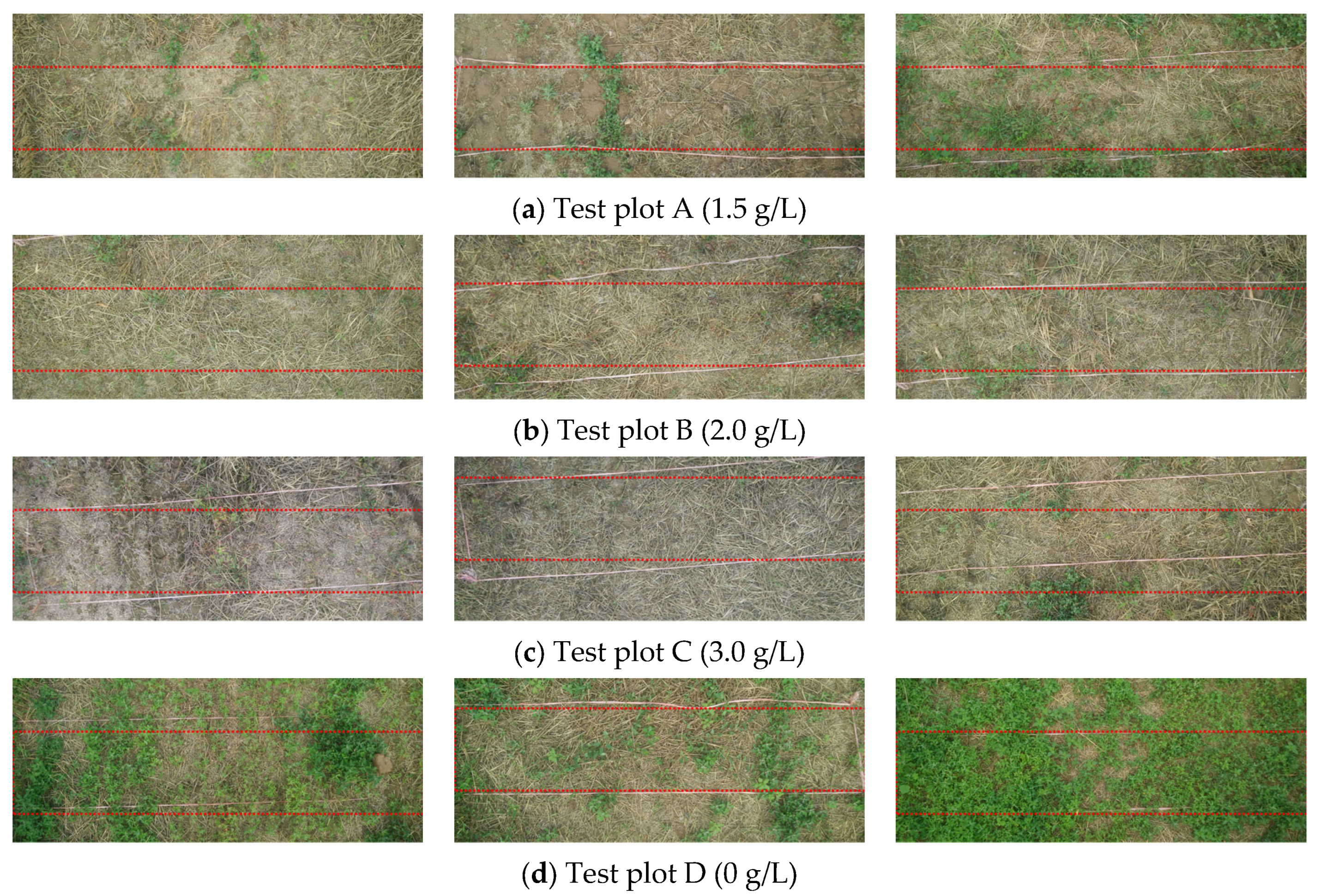 Agronomy 13 01034 g006