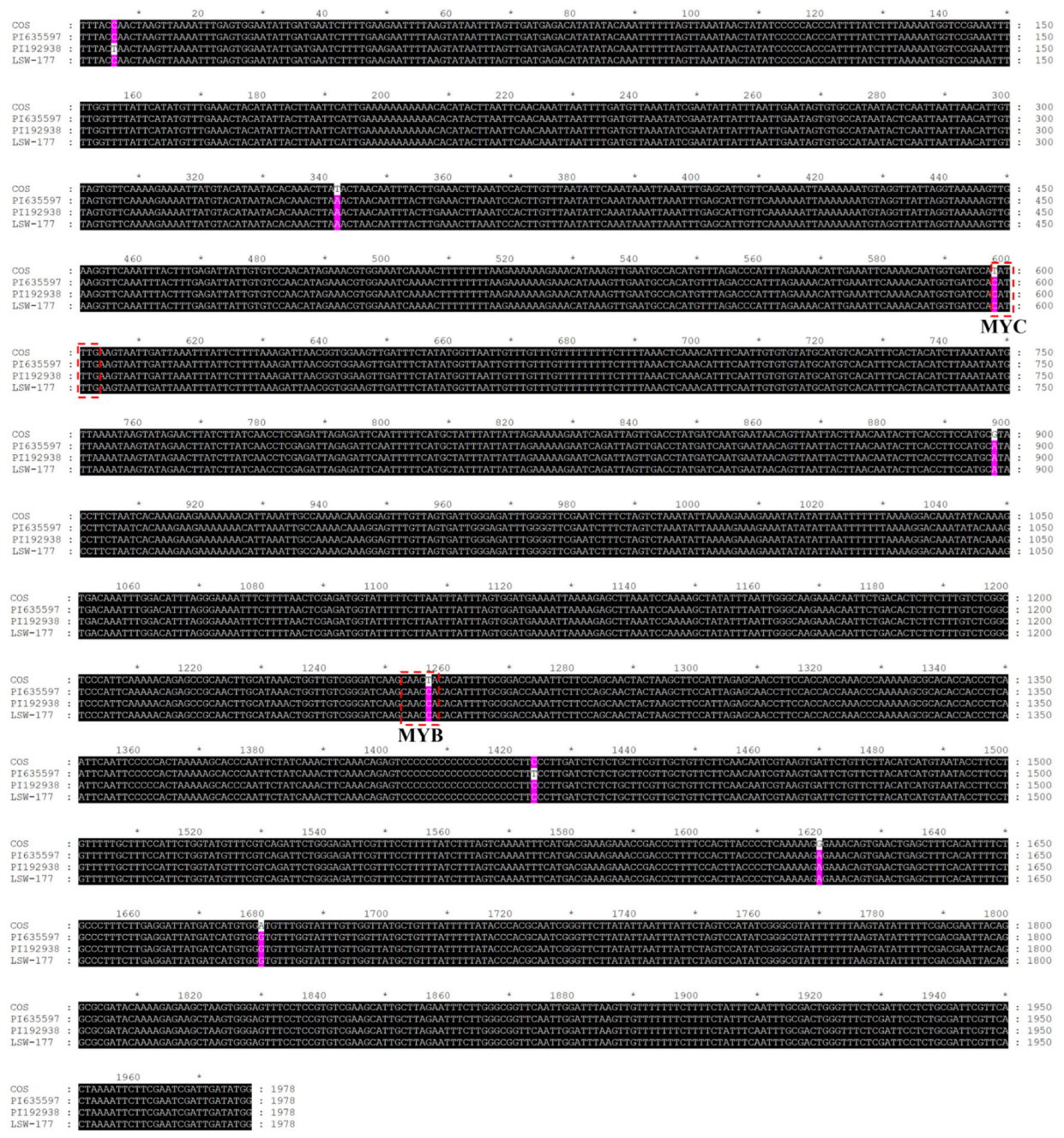 Agronomy 13 01080 g001 Agronomy 13 01080 g001