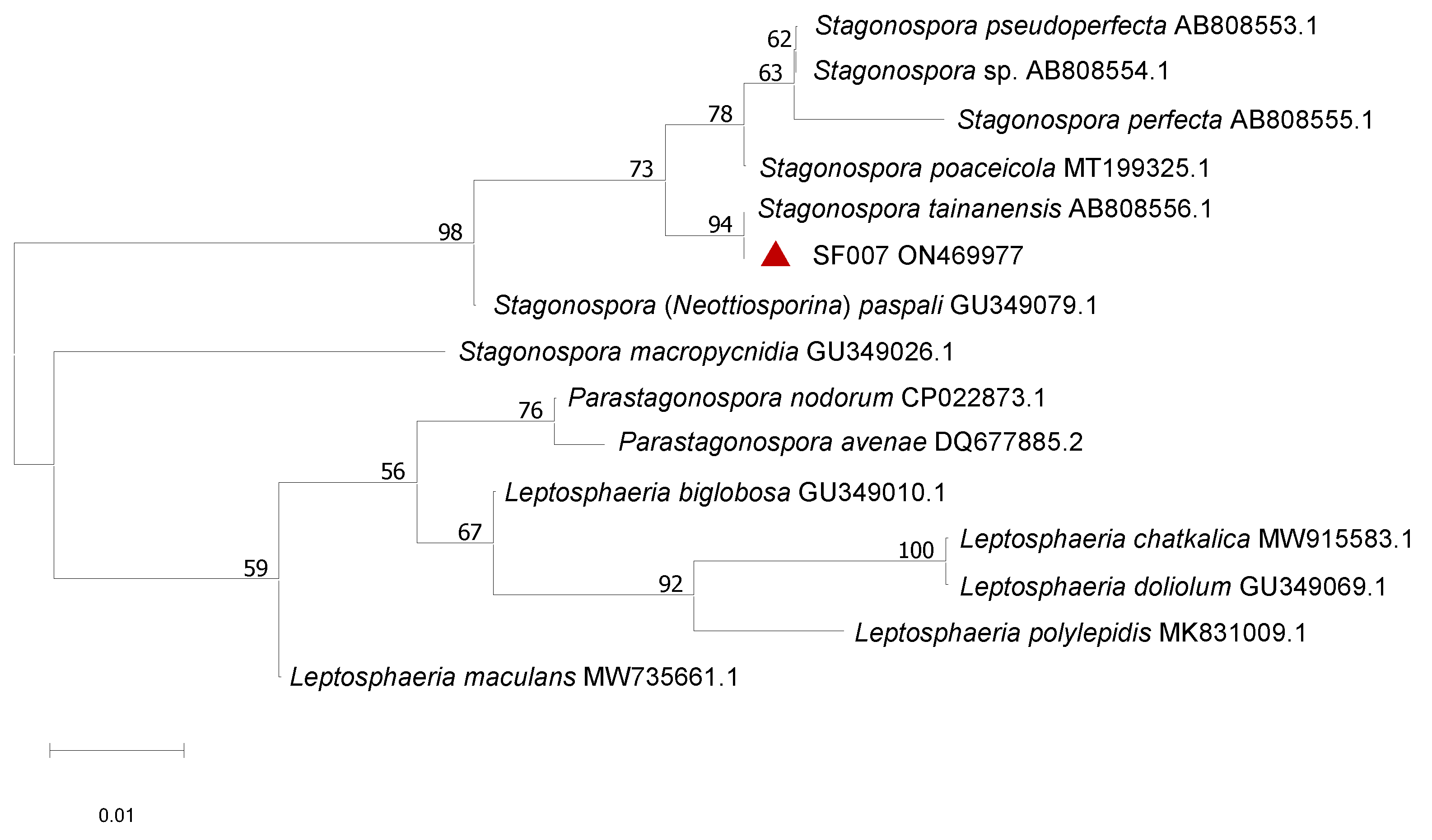 Agronomy 13 01136 g005 Agronomy 13 01136 g005
