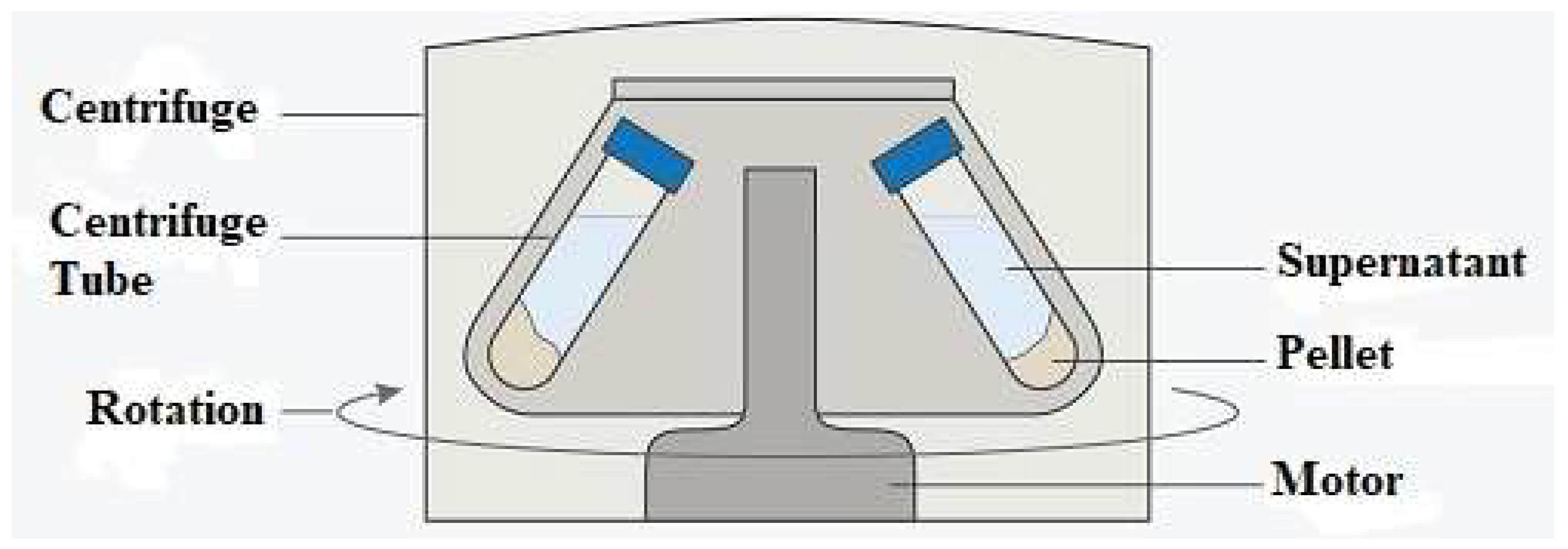 Agronomy 13 01160 g002 Agronomy 13 01160 g002