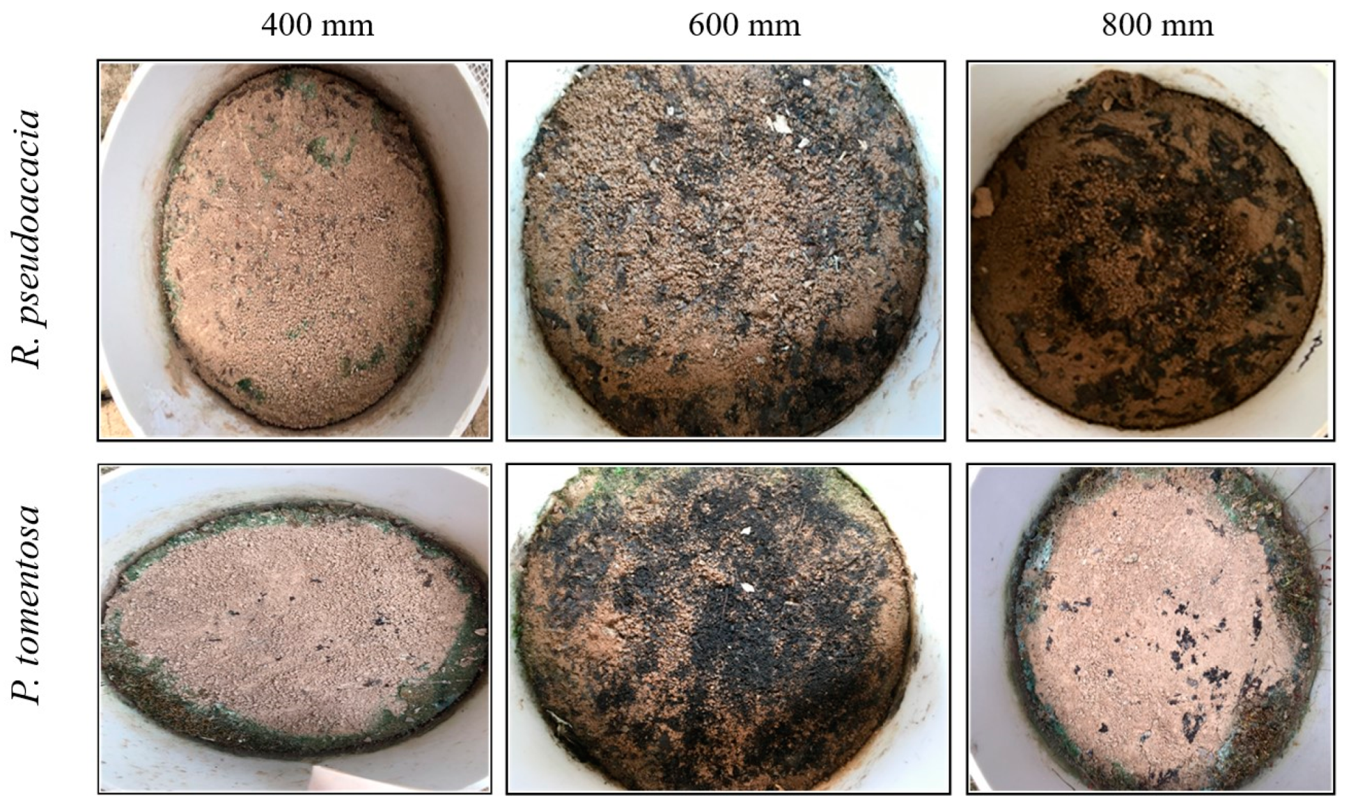 Agronomy 13 01205 g0a3 Agronomy 13 01205 g0a3