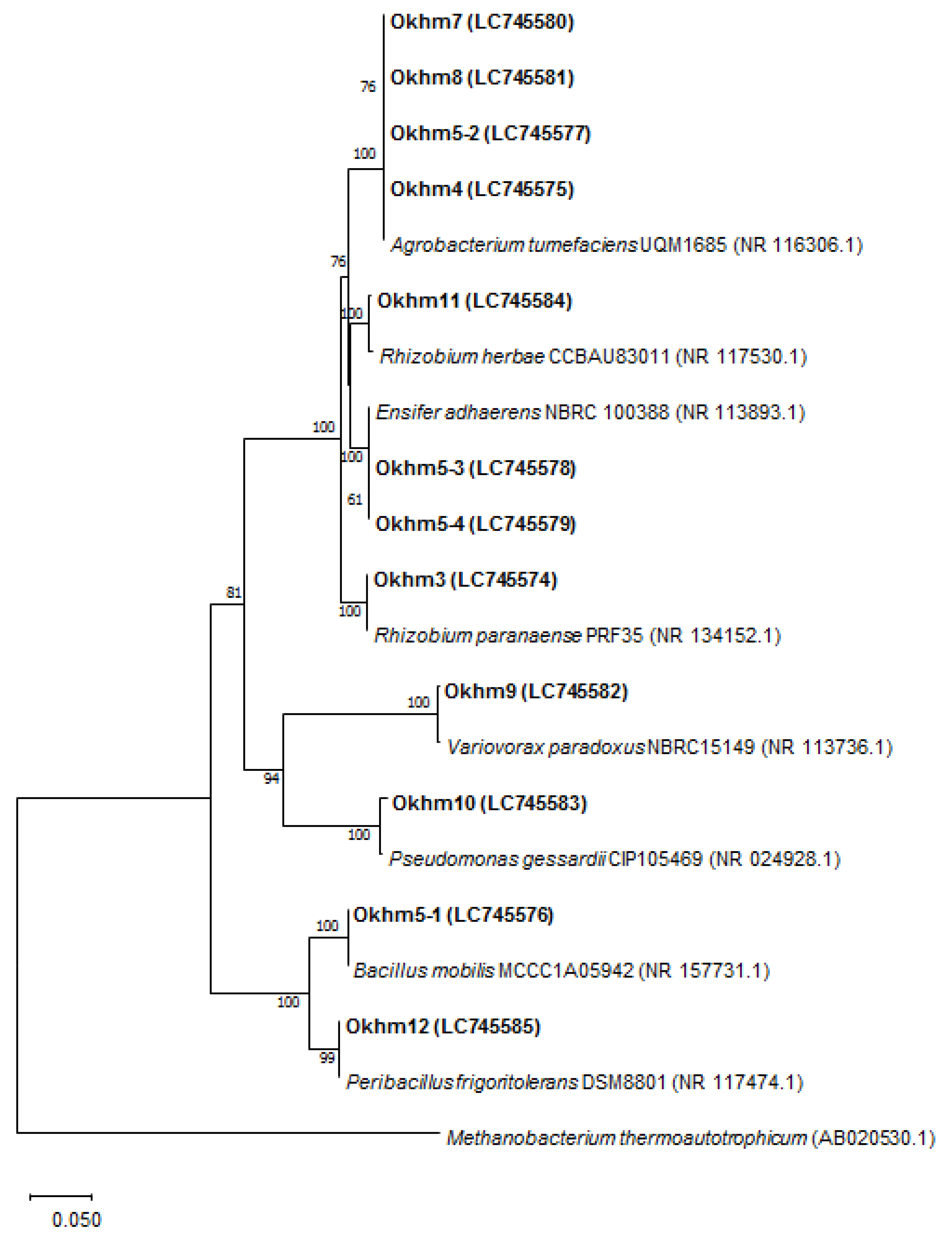 Agronomy 13 01226 g001