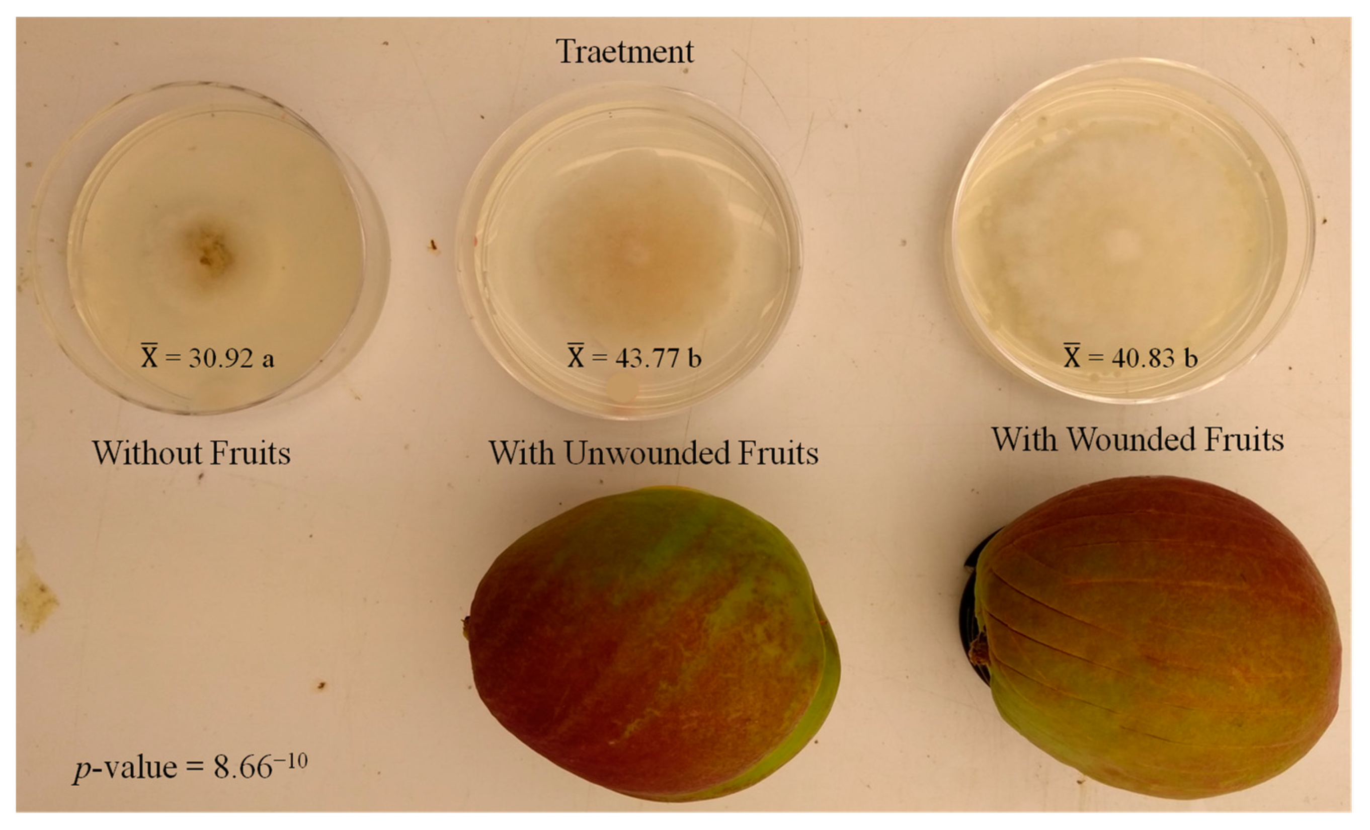 Agronomy 13 01235 g003