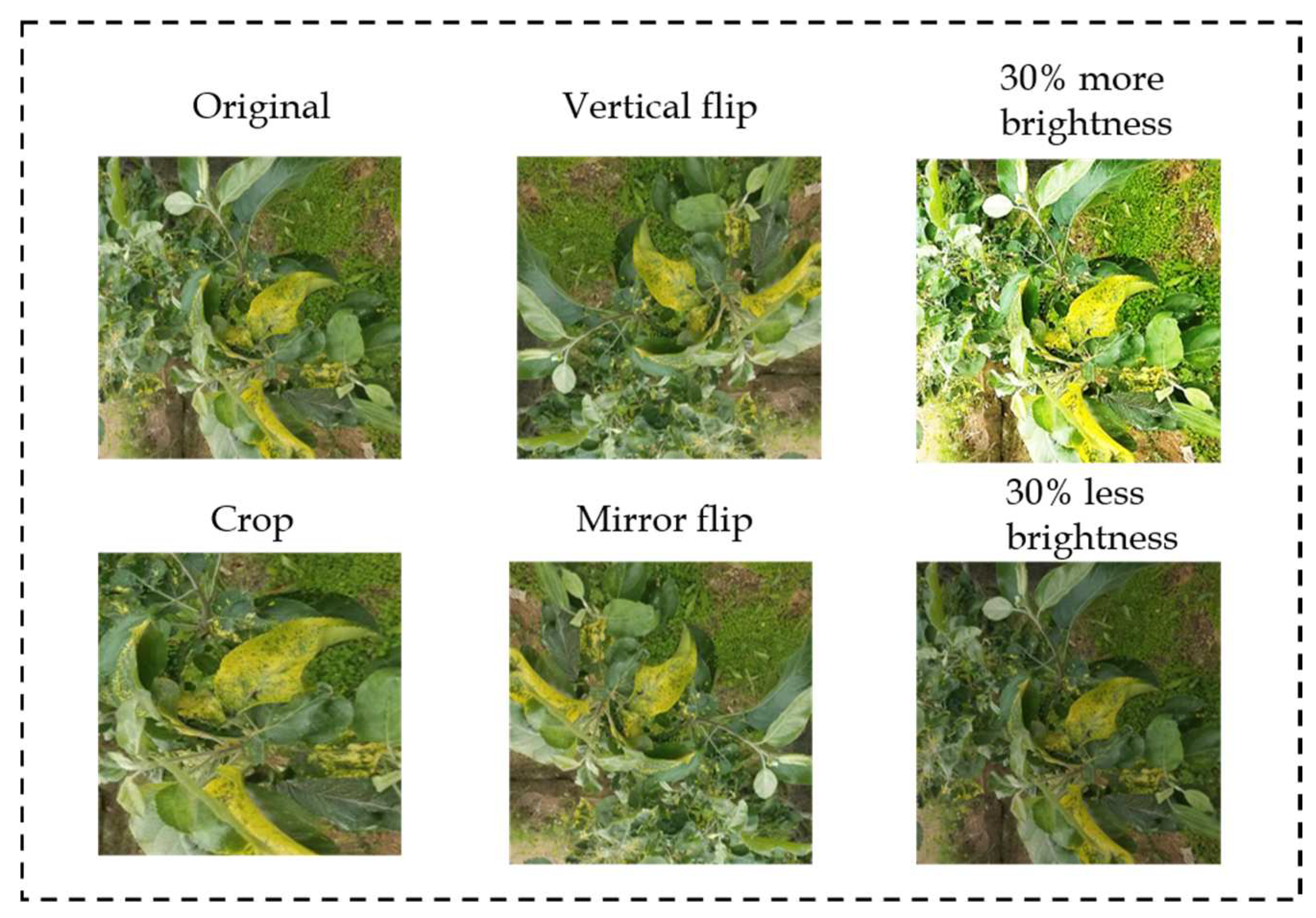 Agronomy 13 01240 g002 Agronomy 13 01240 g002