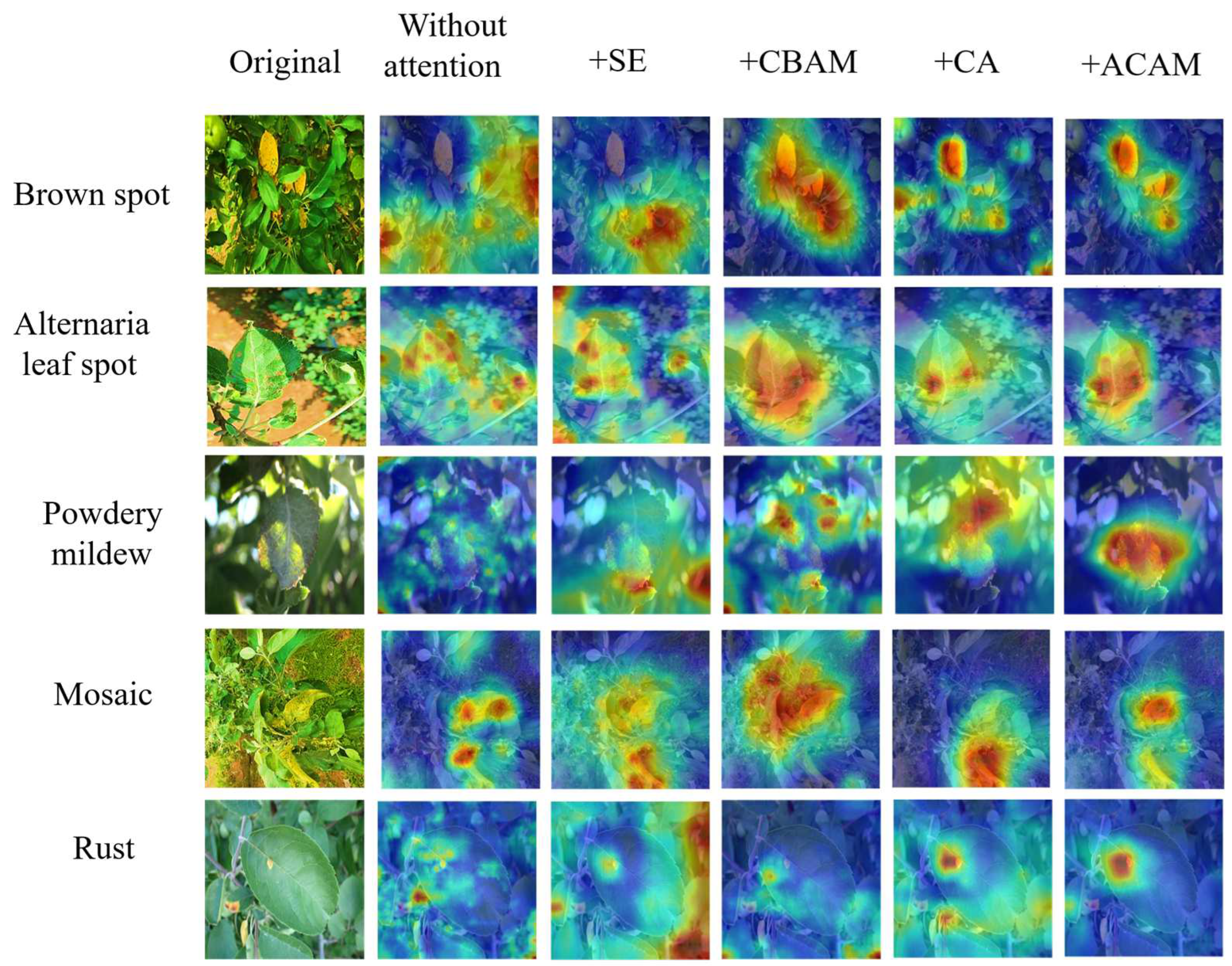 Agronomy 13 01240 g007 Agronomy 13 01240 g007
