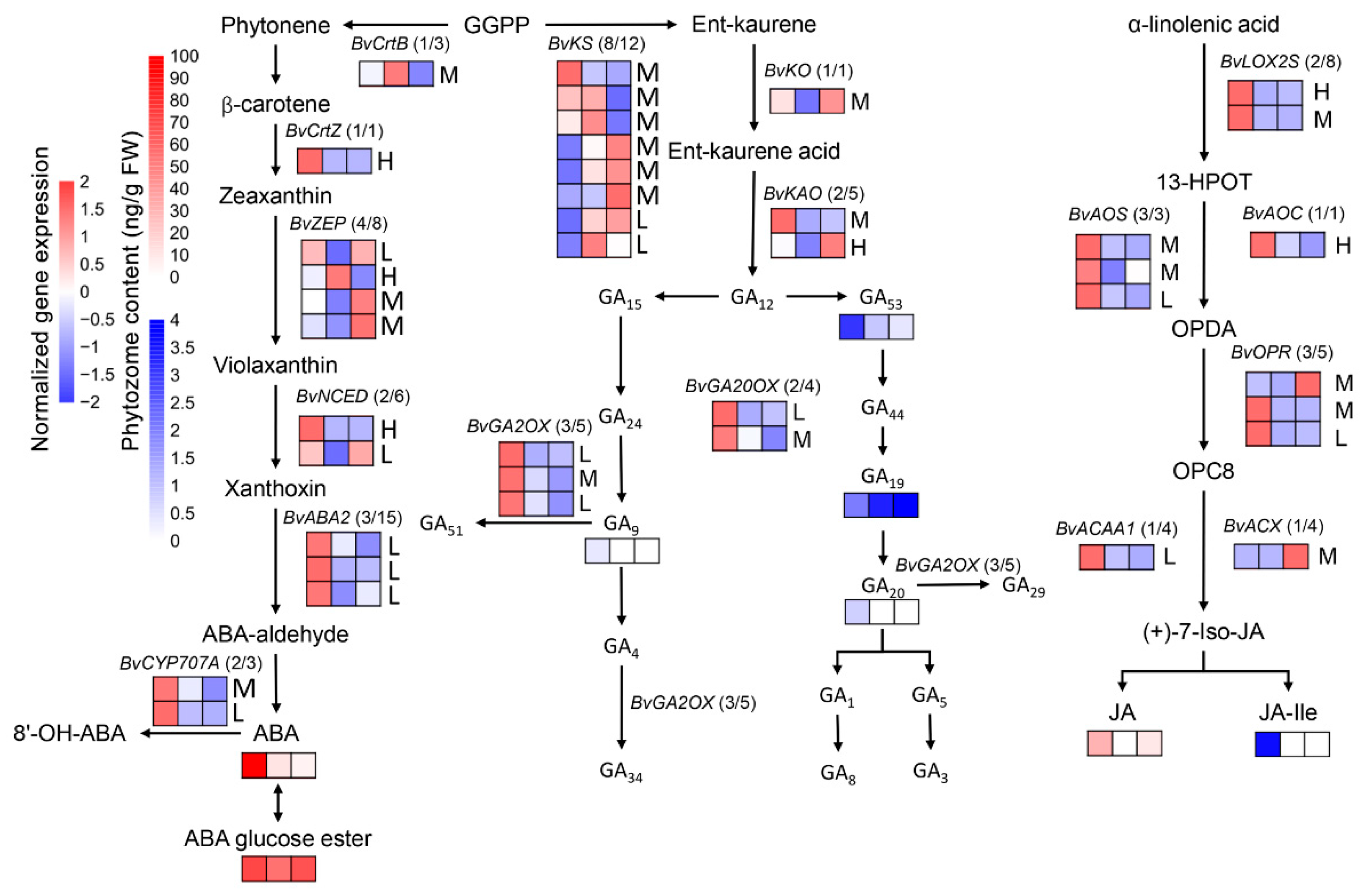 Agronomy 13 01251 g005