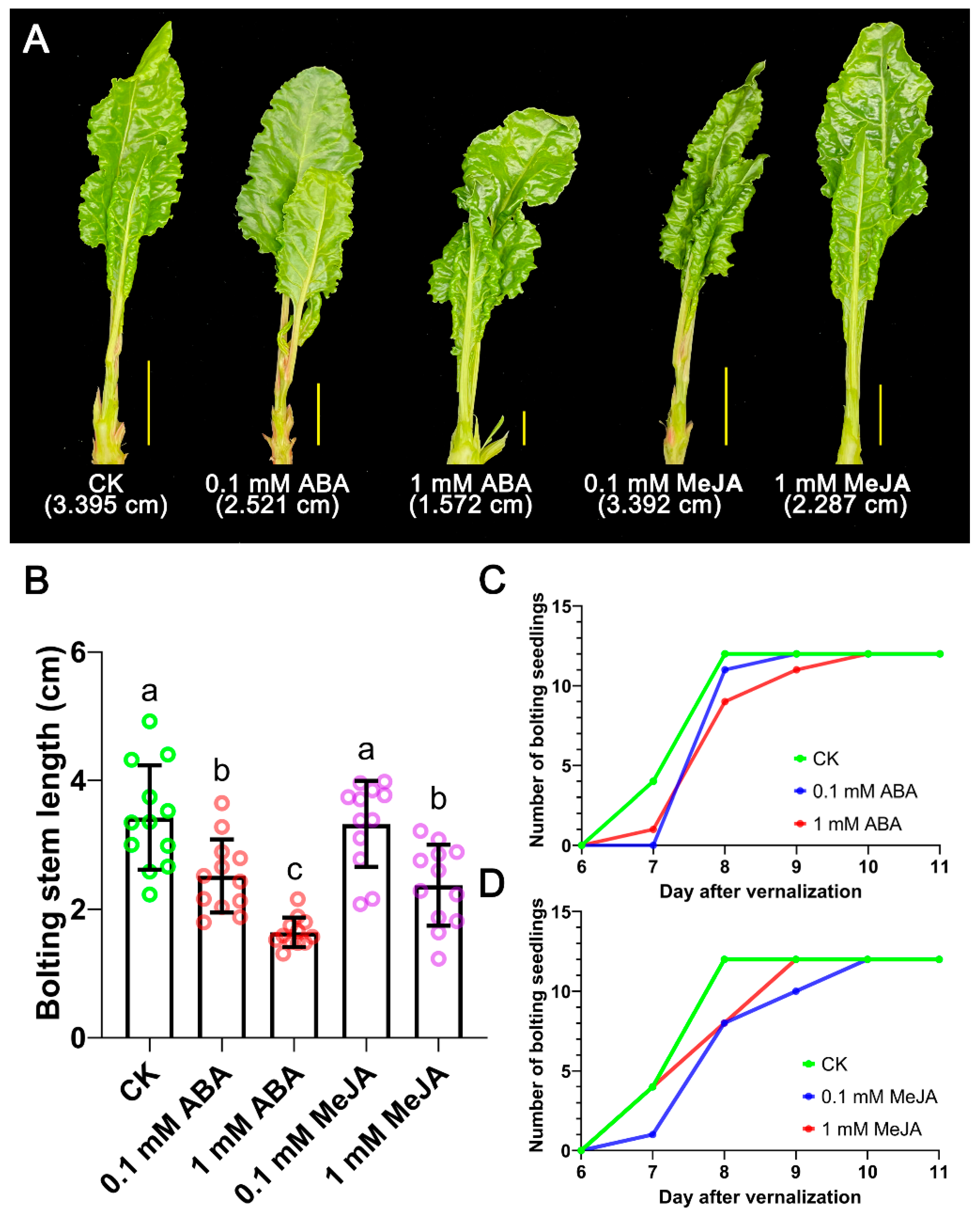 Agronomy 13 01251 g008
