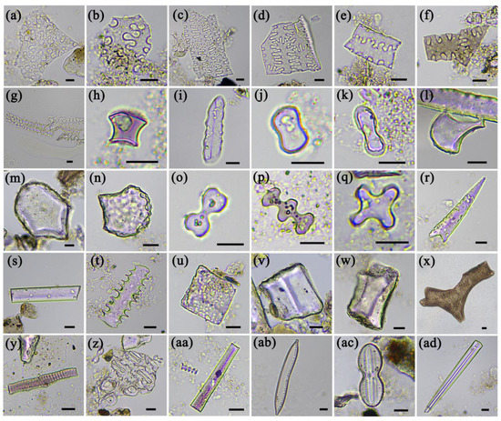 Agronomy | Free Full-Text | Early Millet Use and Its Environmental ...