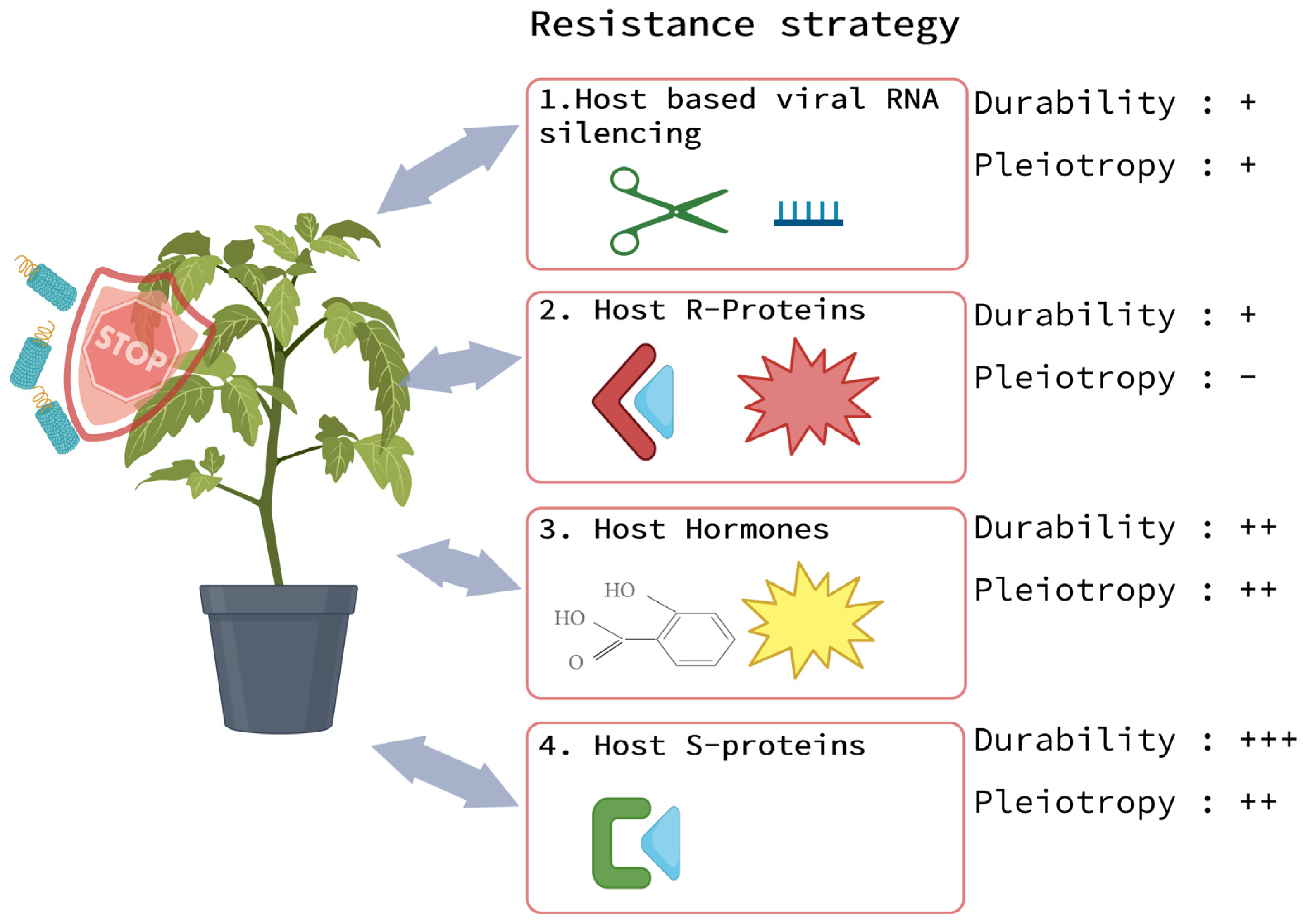 Agronomy 13 01300 g004 Agronomy 13 01300 g004