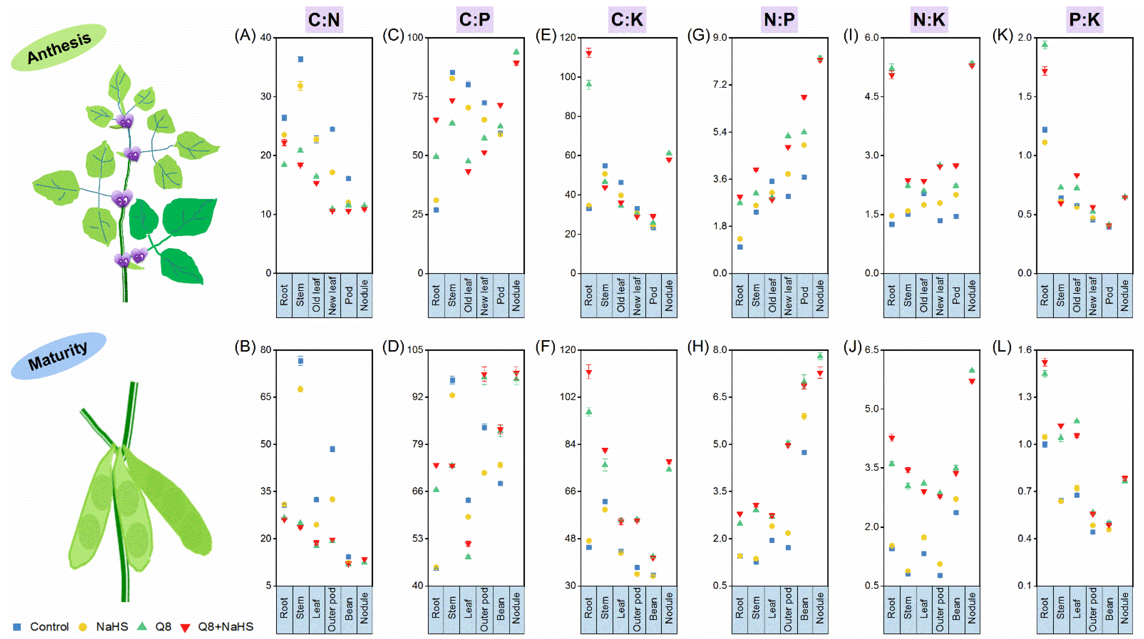 Agronomy 13 01332 g004 Agronomy 13 01332 g004