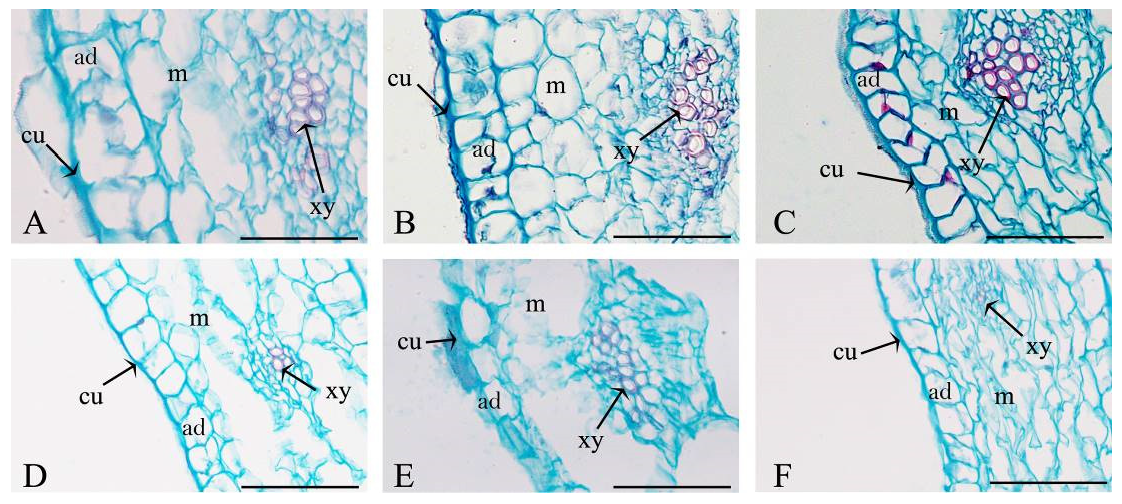 Agronomy 13 01372 g007