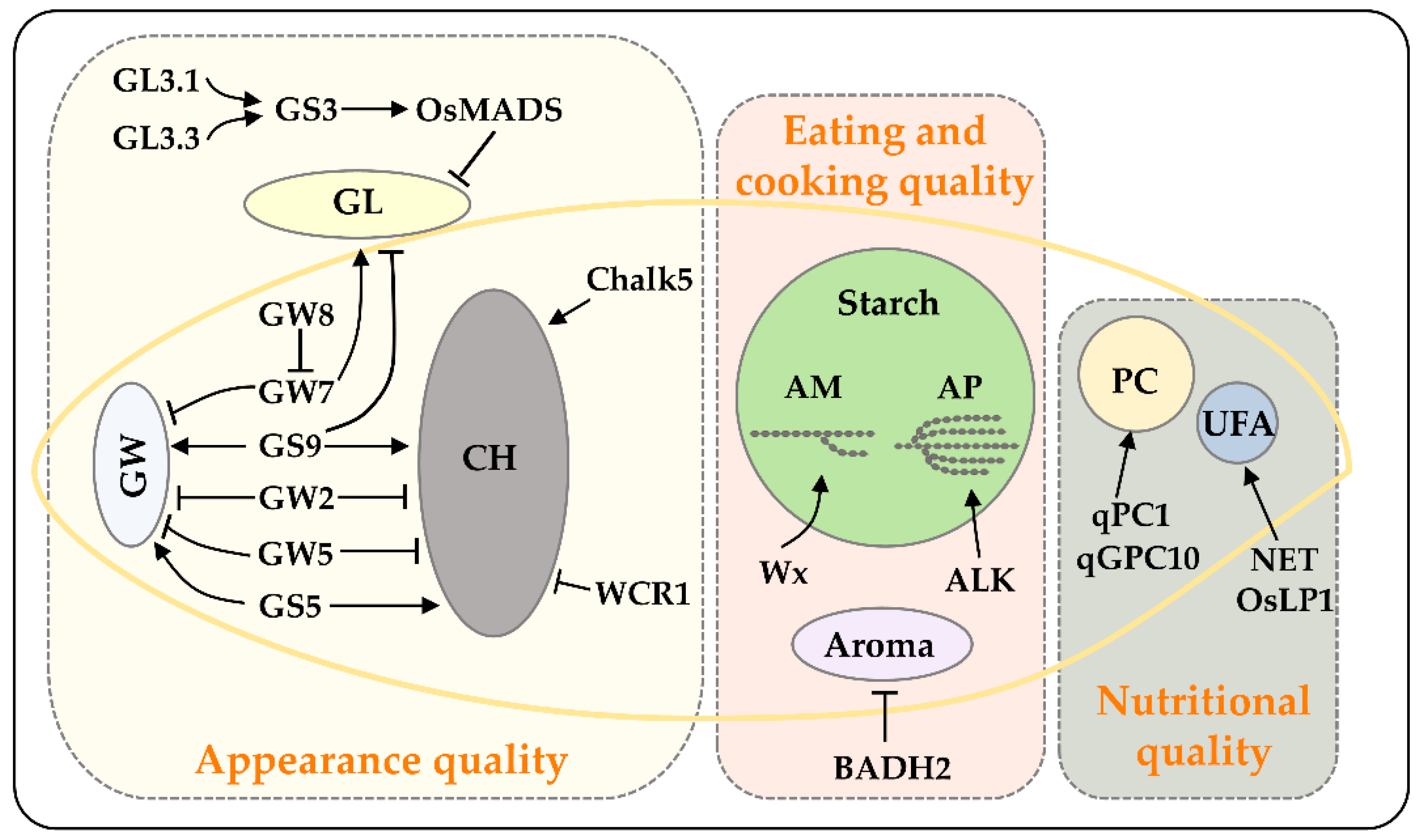 Chapter 18. The Genetic and Environmental Basis of Complex Traits