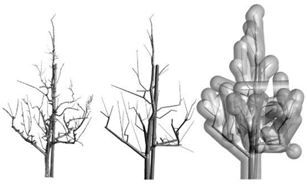 Agronomy 13 01407 i005 Agronomy 13 01407 i005