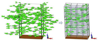 Agronomy 13 01407 i007 Agronomy 13 01407 i007