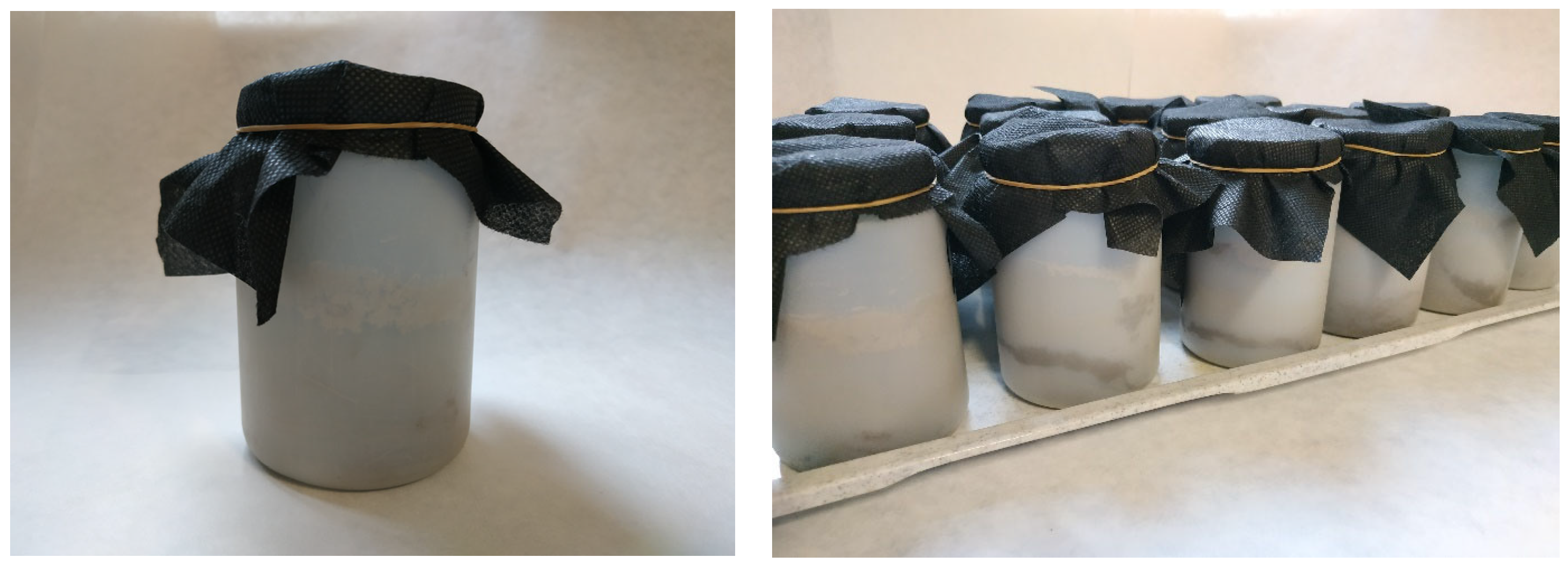 Agronomy 13 01410 g002 Agronomy 13 01410 g002