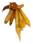 Agronomy 13 01435 i008 Agronomy 13 01435 i008