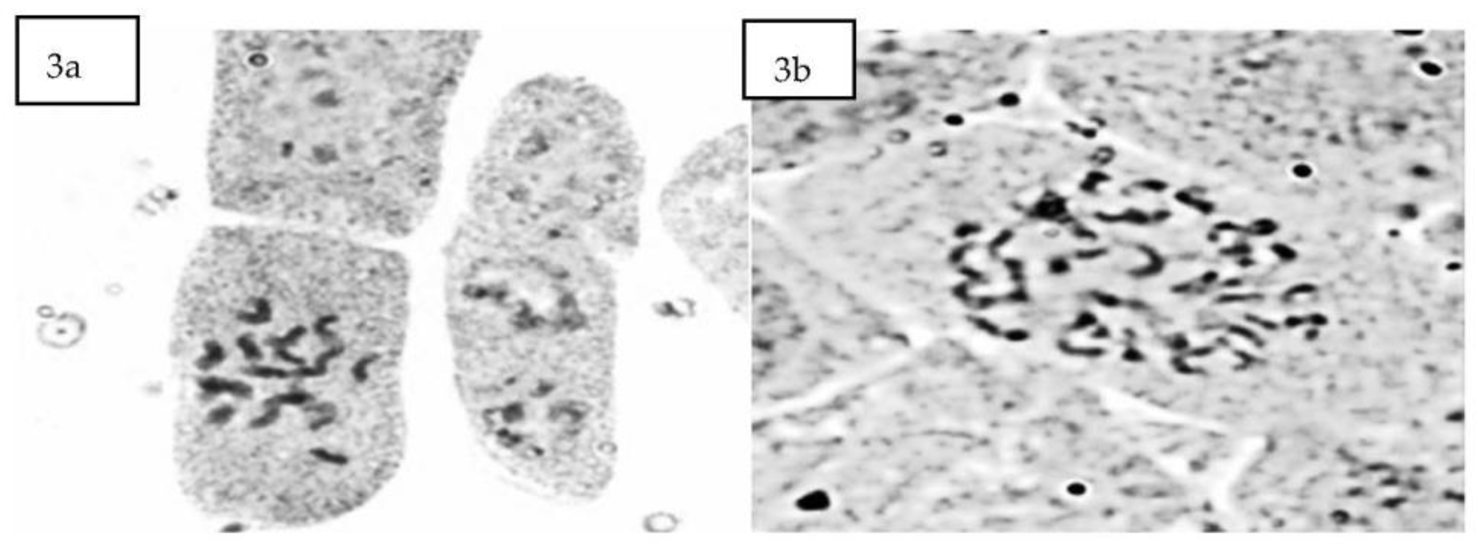Agronomy 13 01442 g003 Agronomy 13 01442 g003