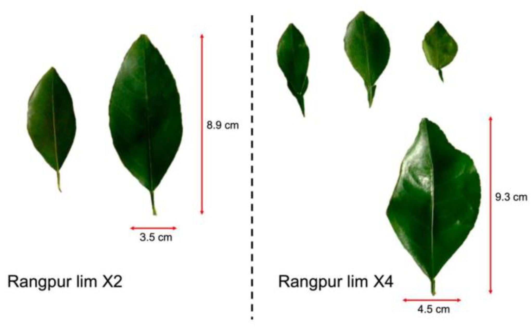 Agronomy 13 01442 g006 Agronomy 13 01442 g006